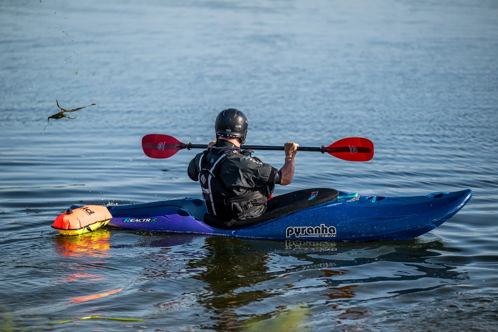 004 DSC_1559 250511.jpg