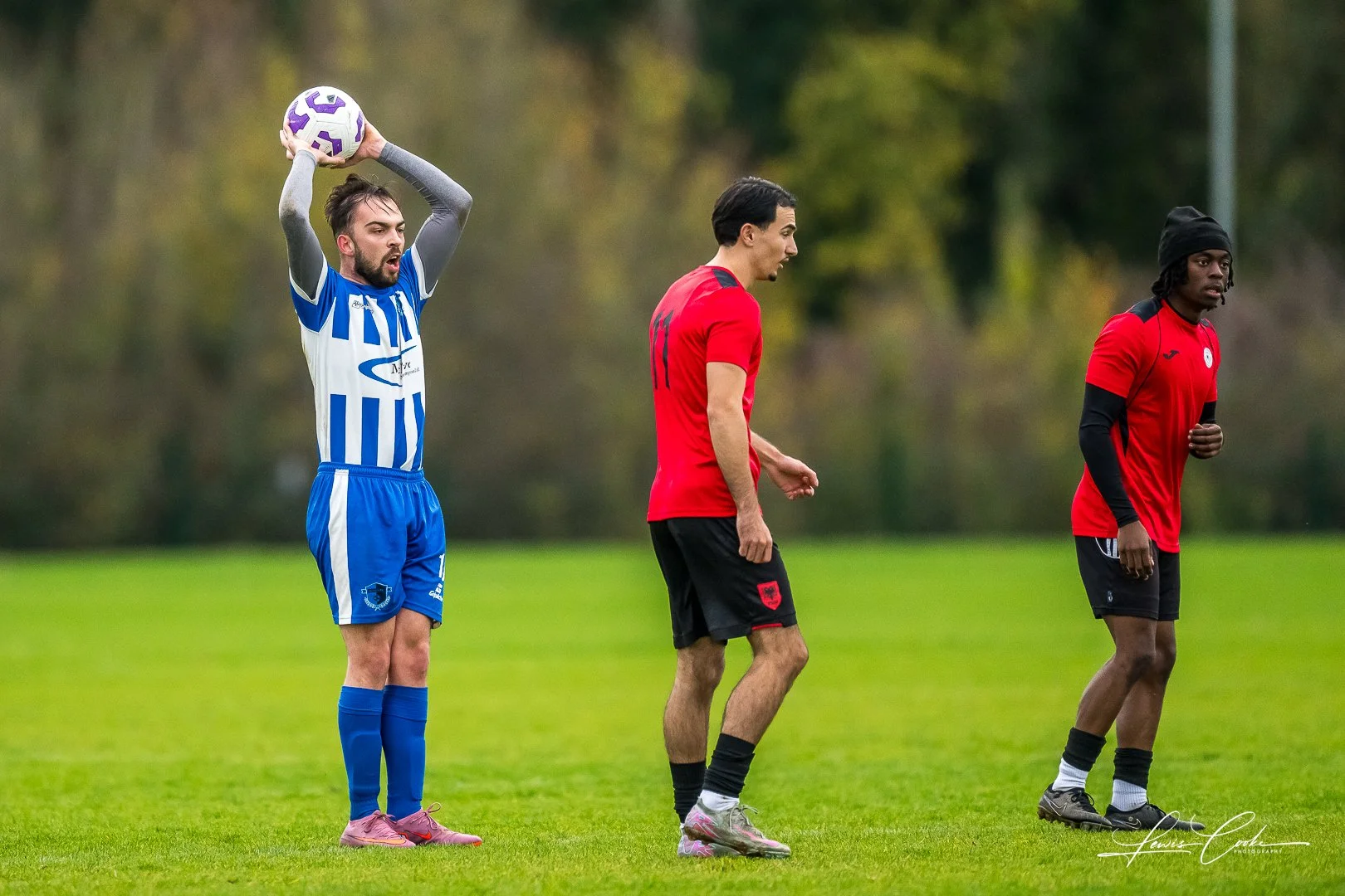  017 DSC_6670 251116.jpg