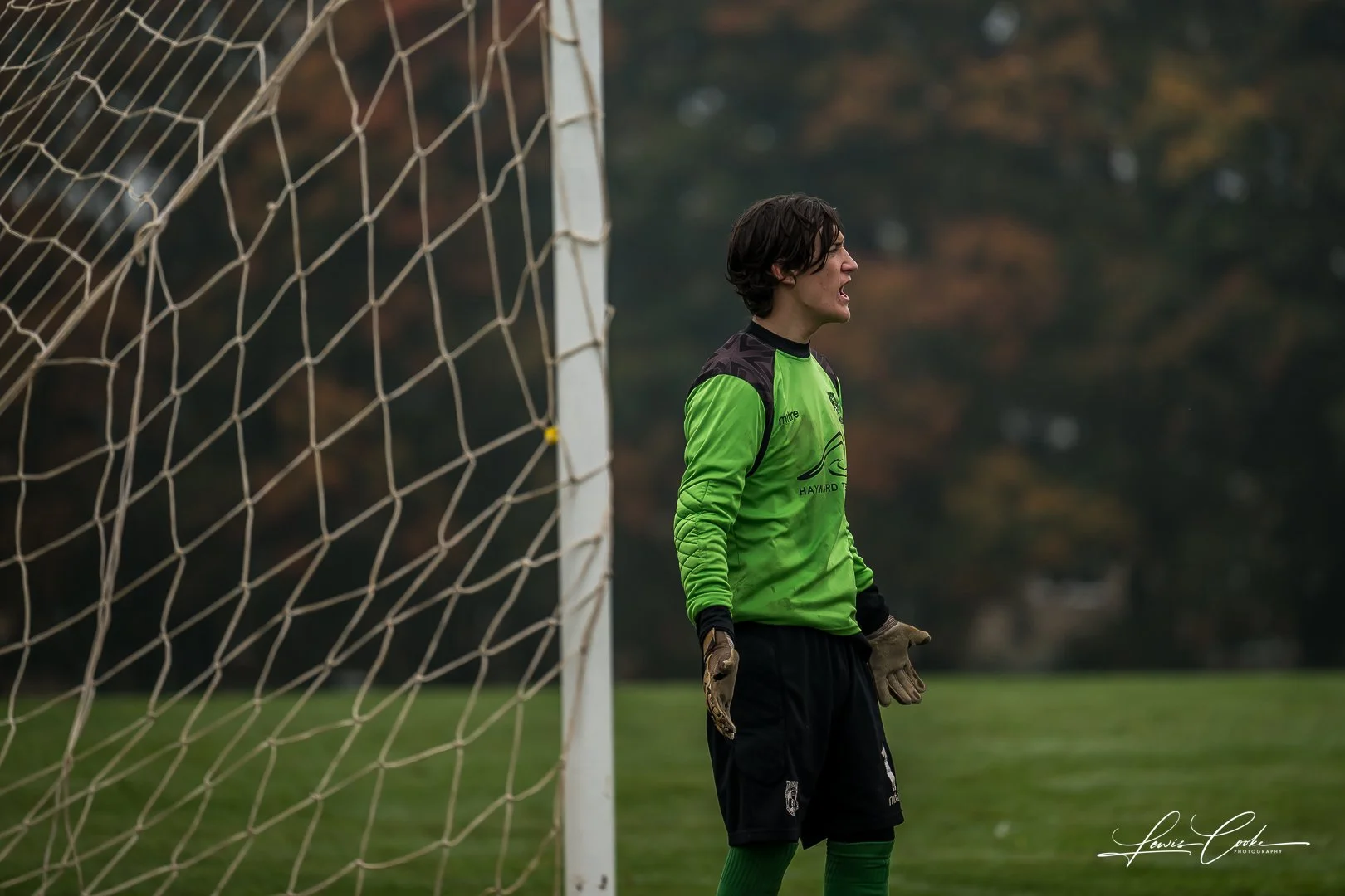  008 DSC_6554 251012.jpg