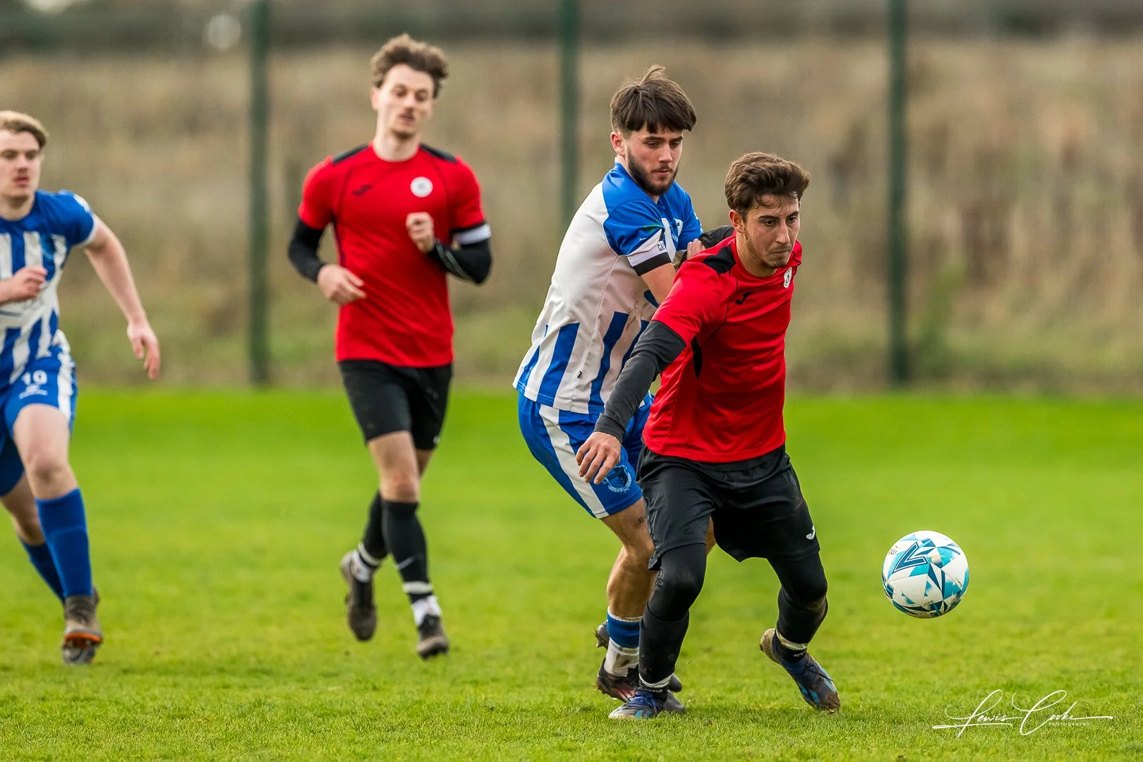  067 DSC_7347 251116.jpg