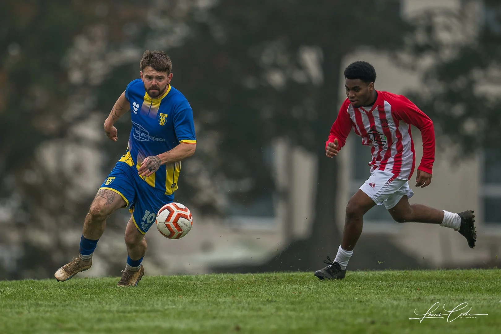  048 DSC_4205 251012.jpg