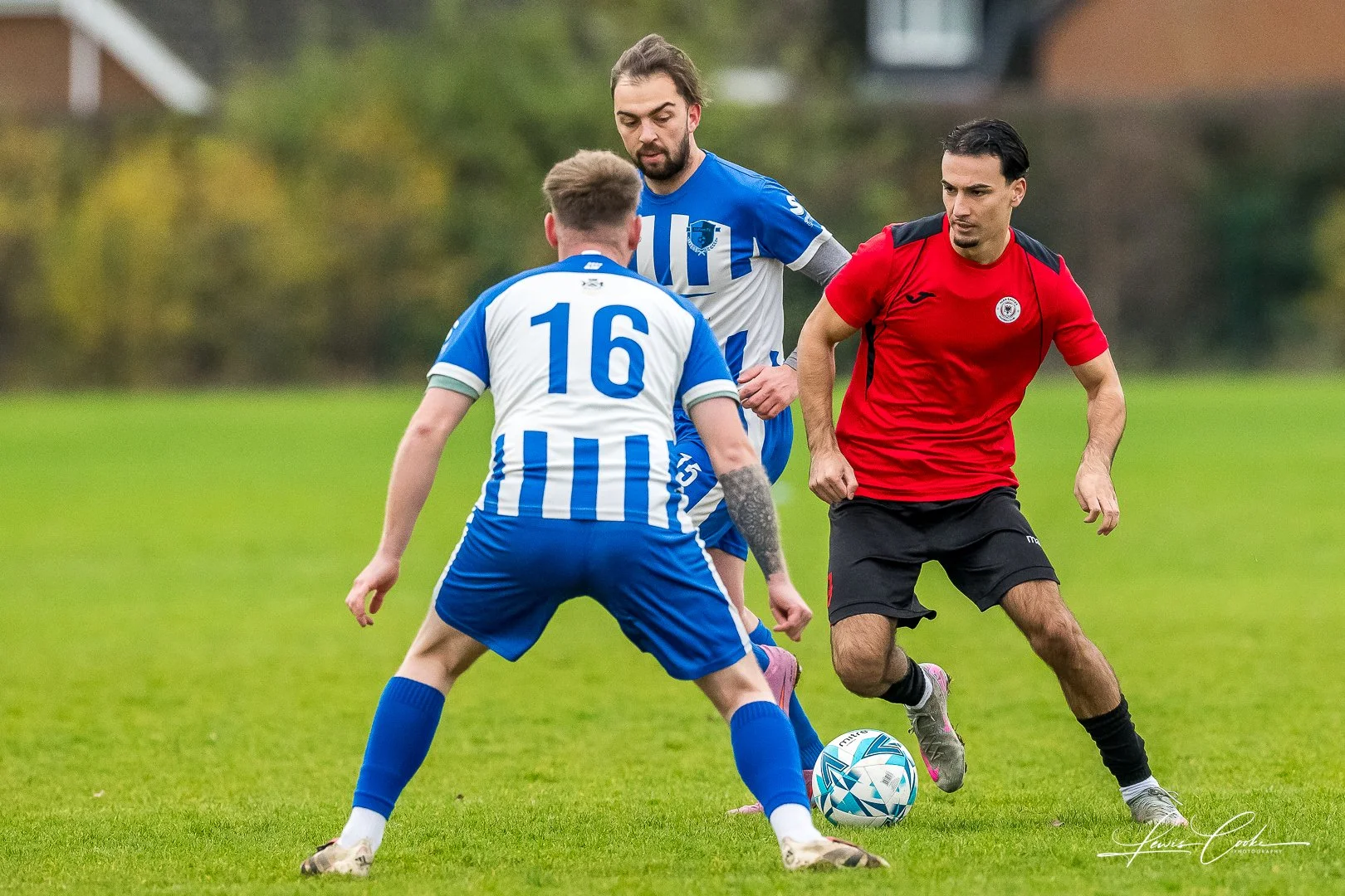  006 DSC_6591 251116.jpg