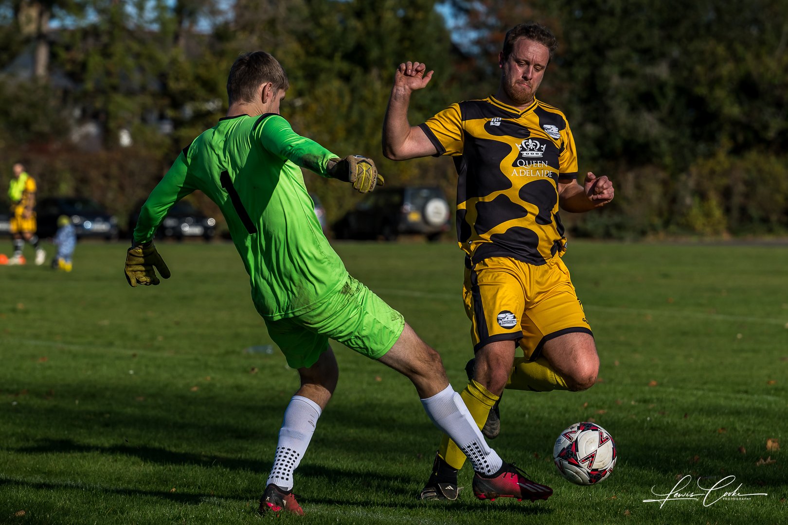  023 DSC_7871 251102.jpg