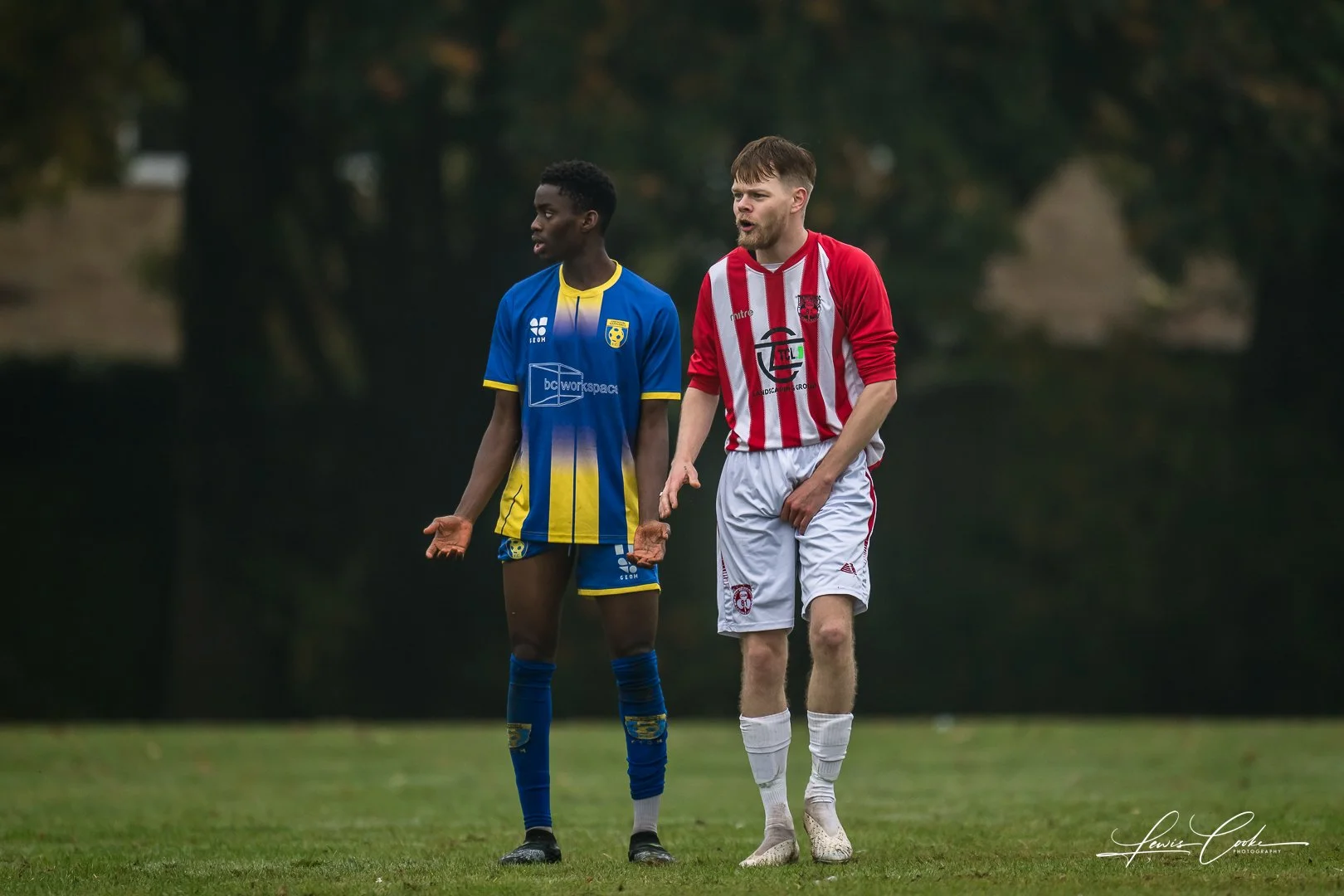  055 DSC_4249 251012.jpg