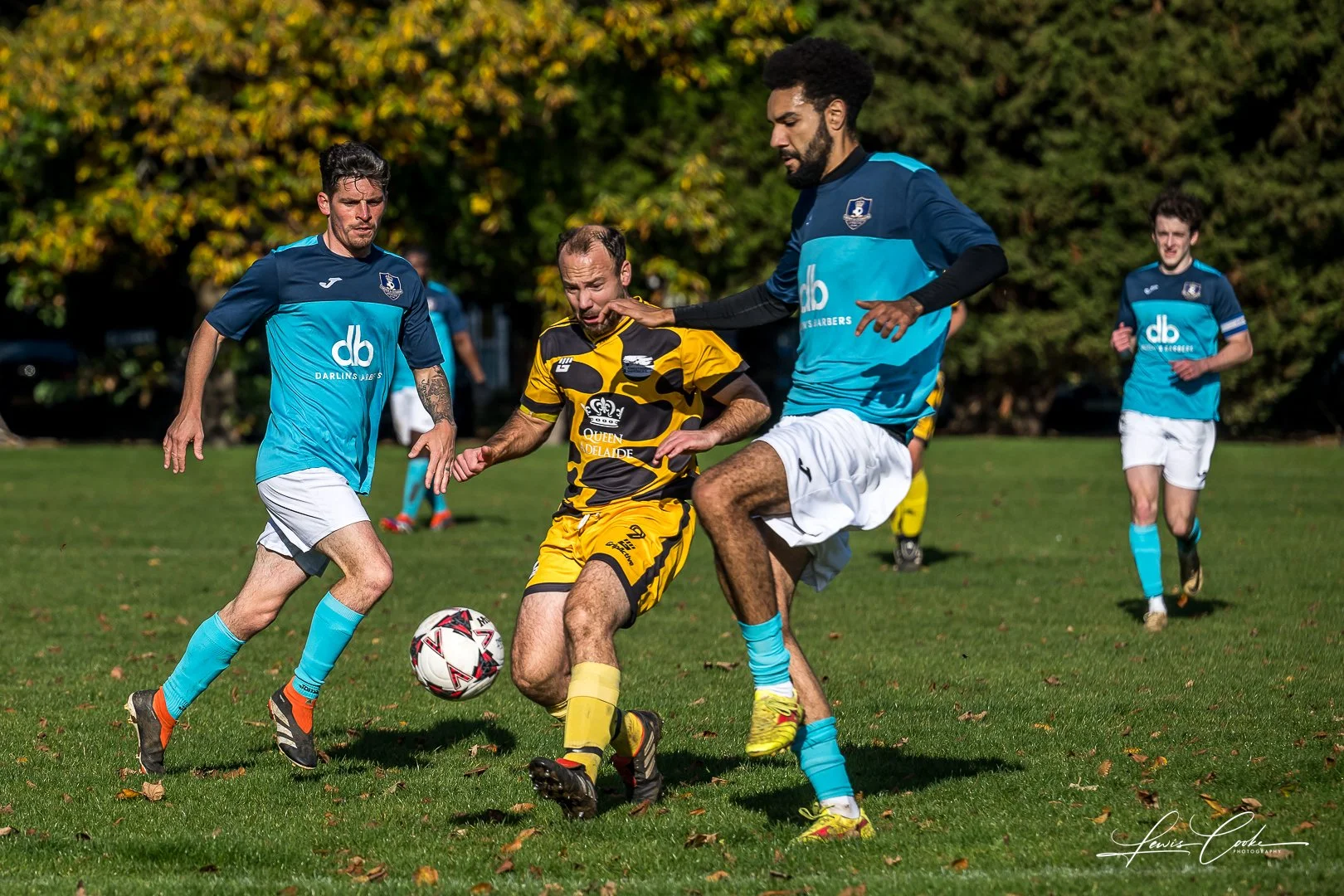  044 DSC_8061-2 251102.jpg