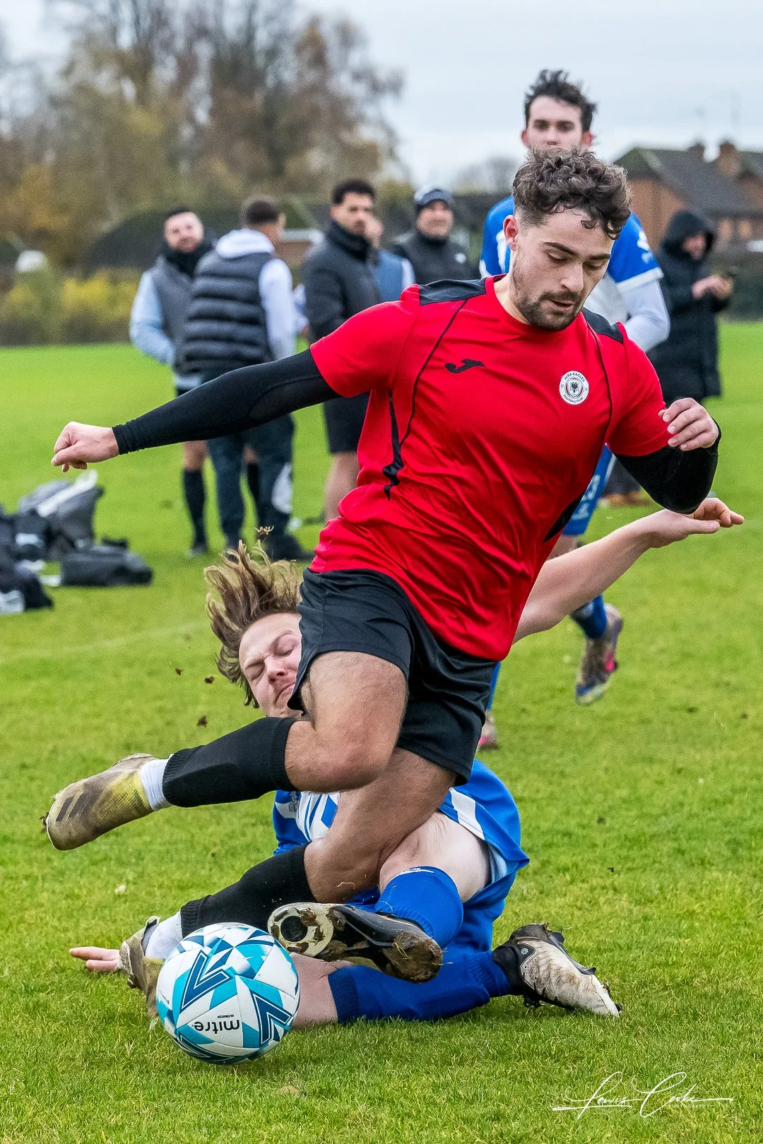  043 DSC_0536 251116.jpg