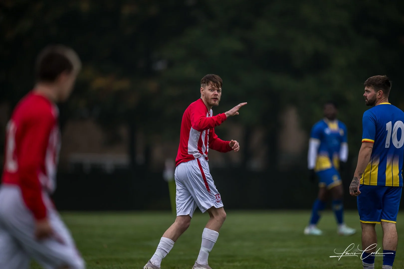  034 DSC_4113 251012.jpg