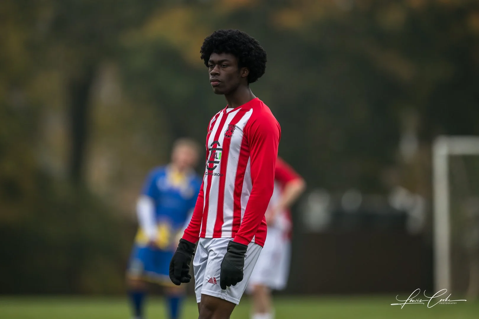  045 DSC_4178 251012.jpg