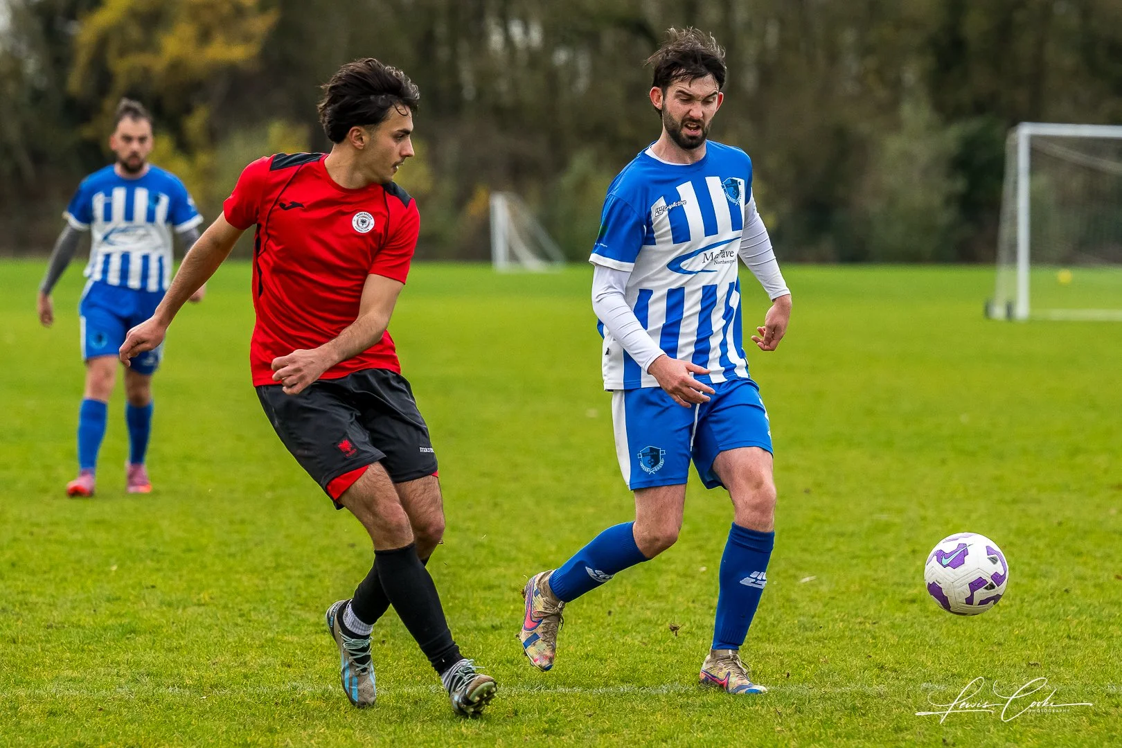  022 DSC_0351 251116.jpg