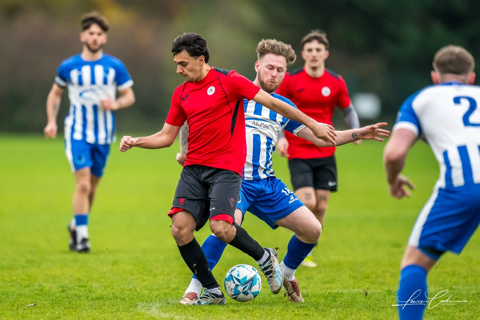  001 DSC_6565 251116.jpg