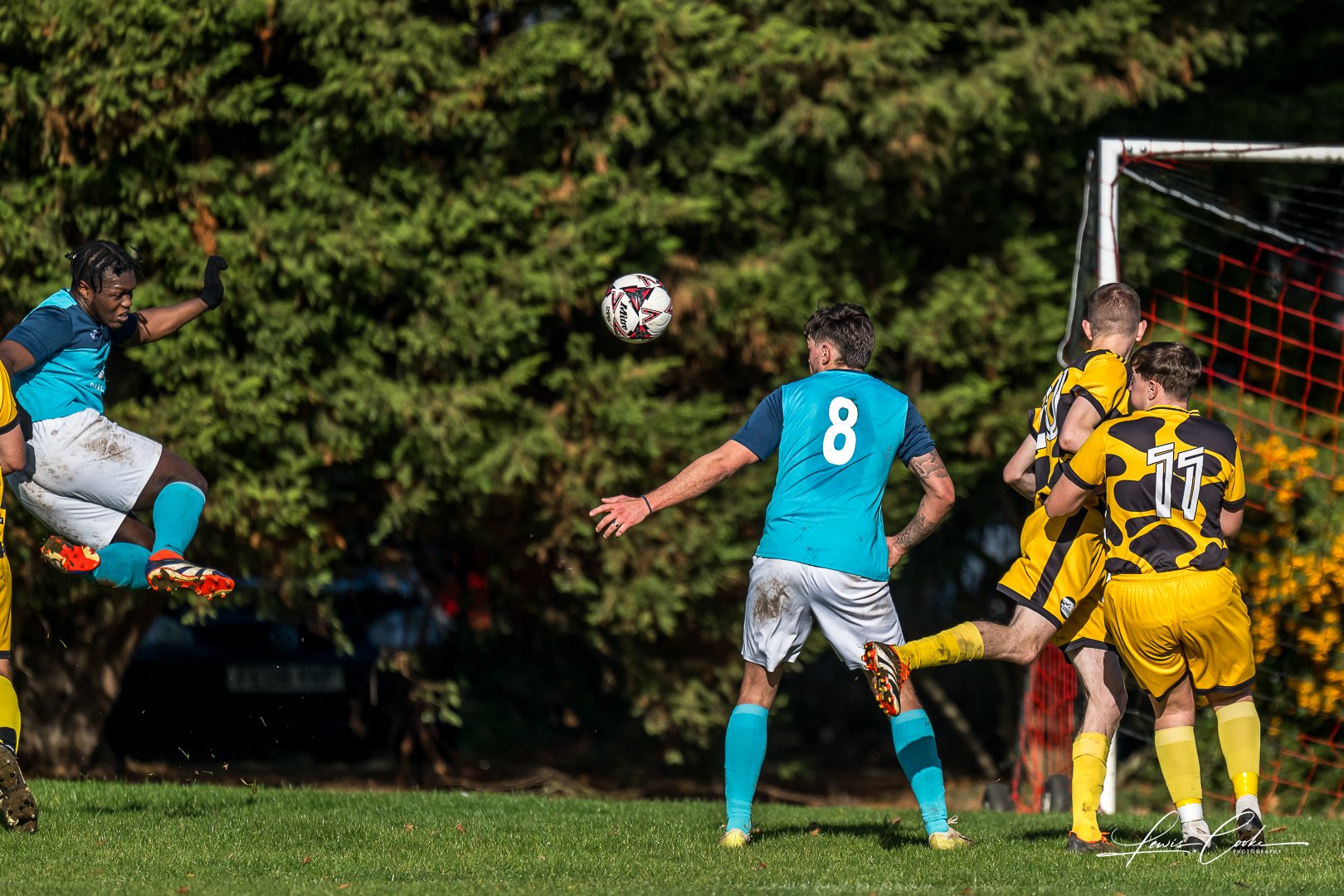  012 DSC_8110 251102.jpg