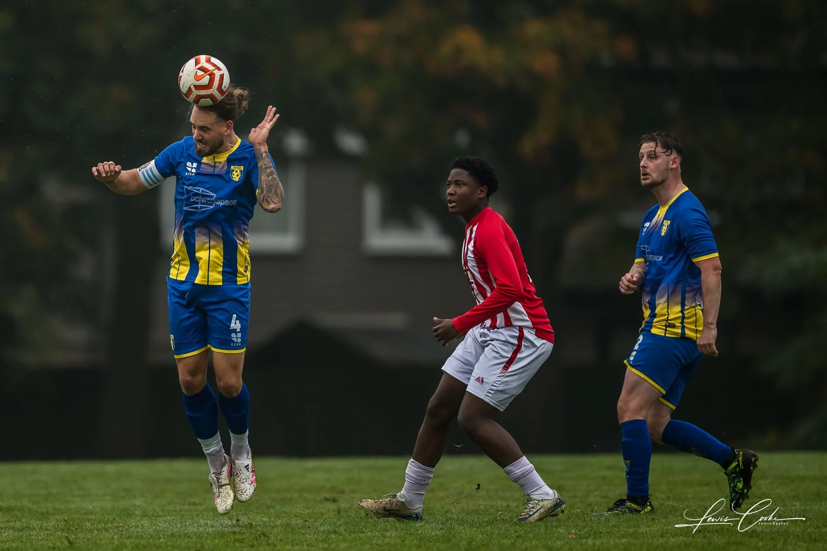  054 DSC_4231 251012.jpg