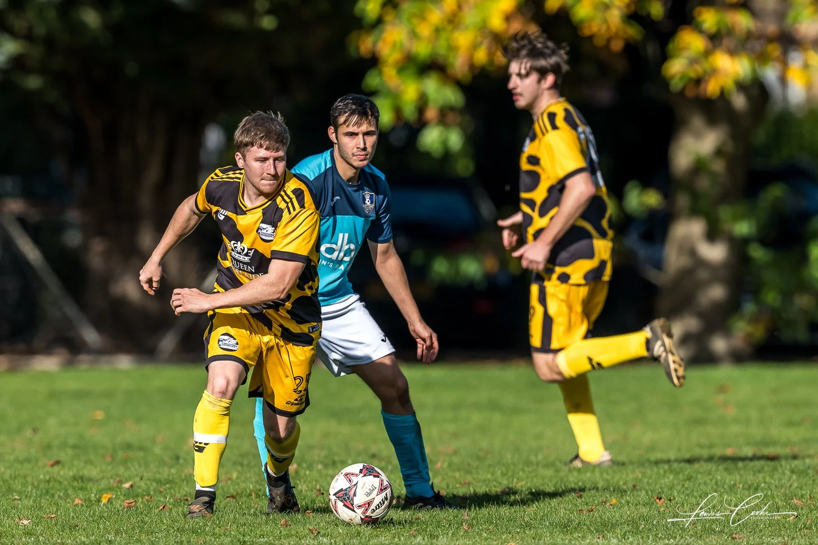  024 DSC_8227 251102.jpg