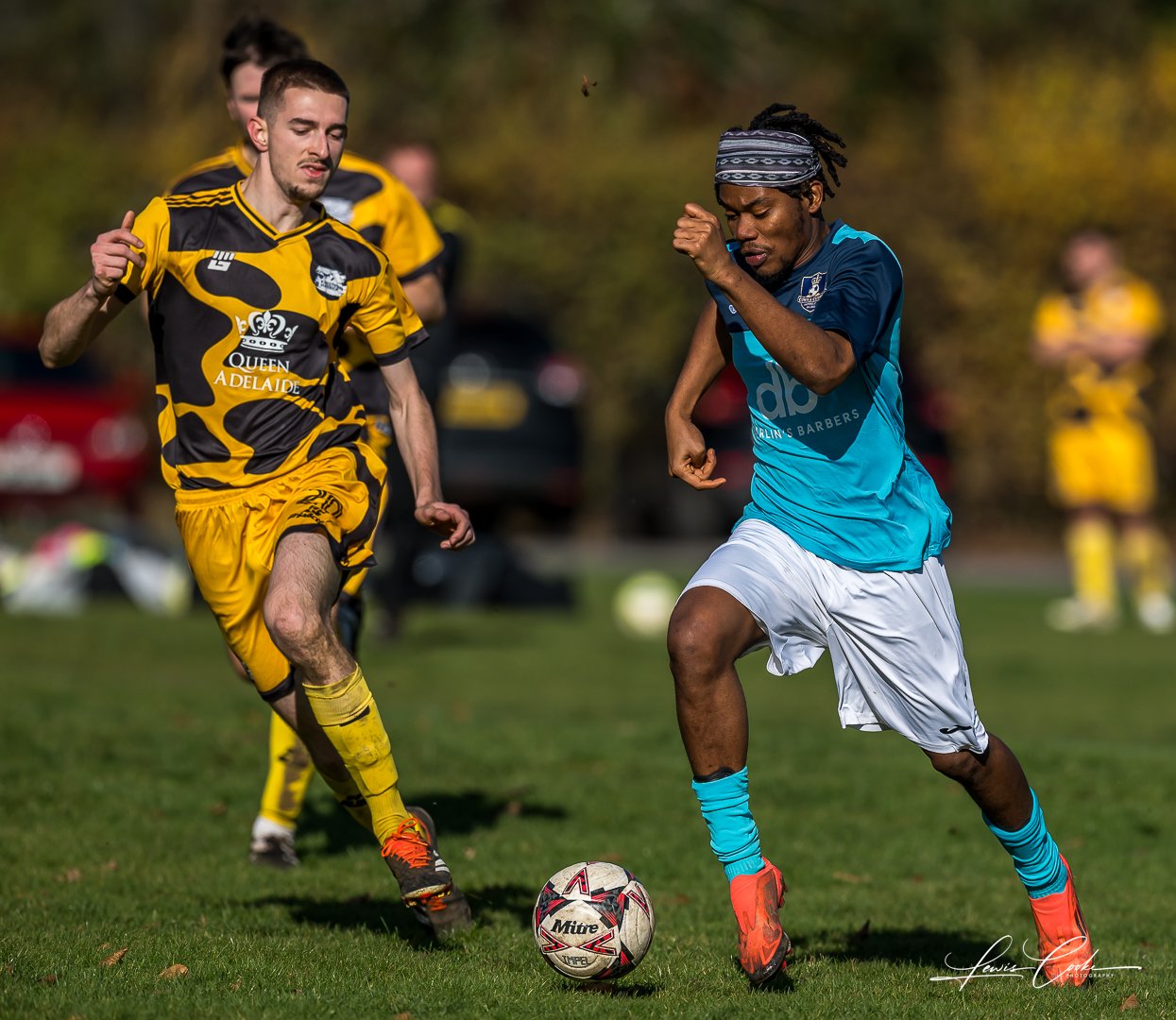  034 DSC_8379 251102.jpg