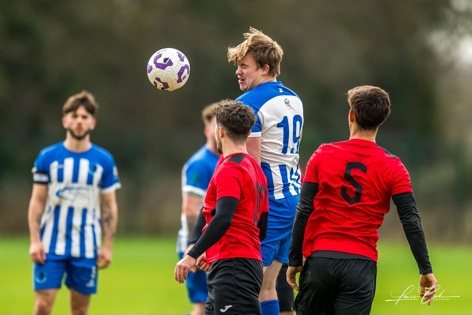  065 DSC_7333 251116.jpg