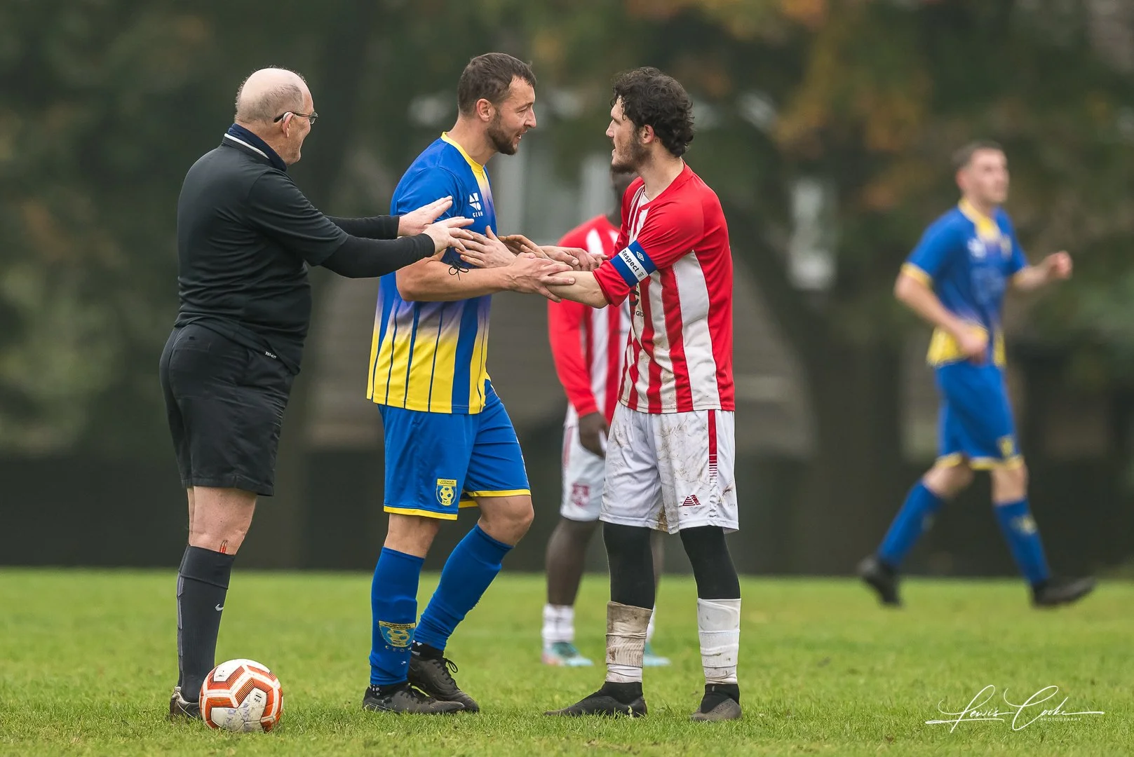  097 DSC_4651 251012.jpg