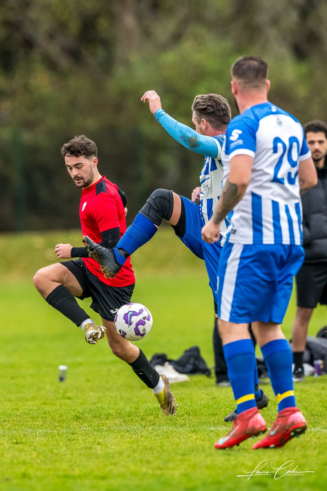  011 DSC_6634 251116.jpg