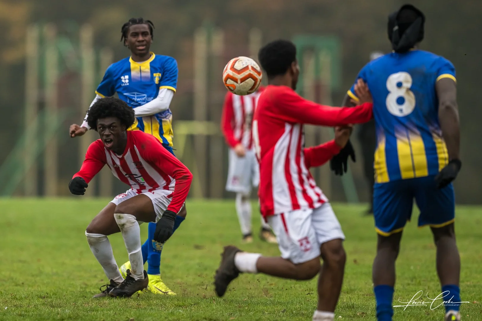  103 DSC_4767 251012.jpg