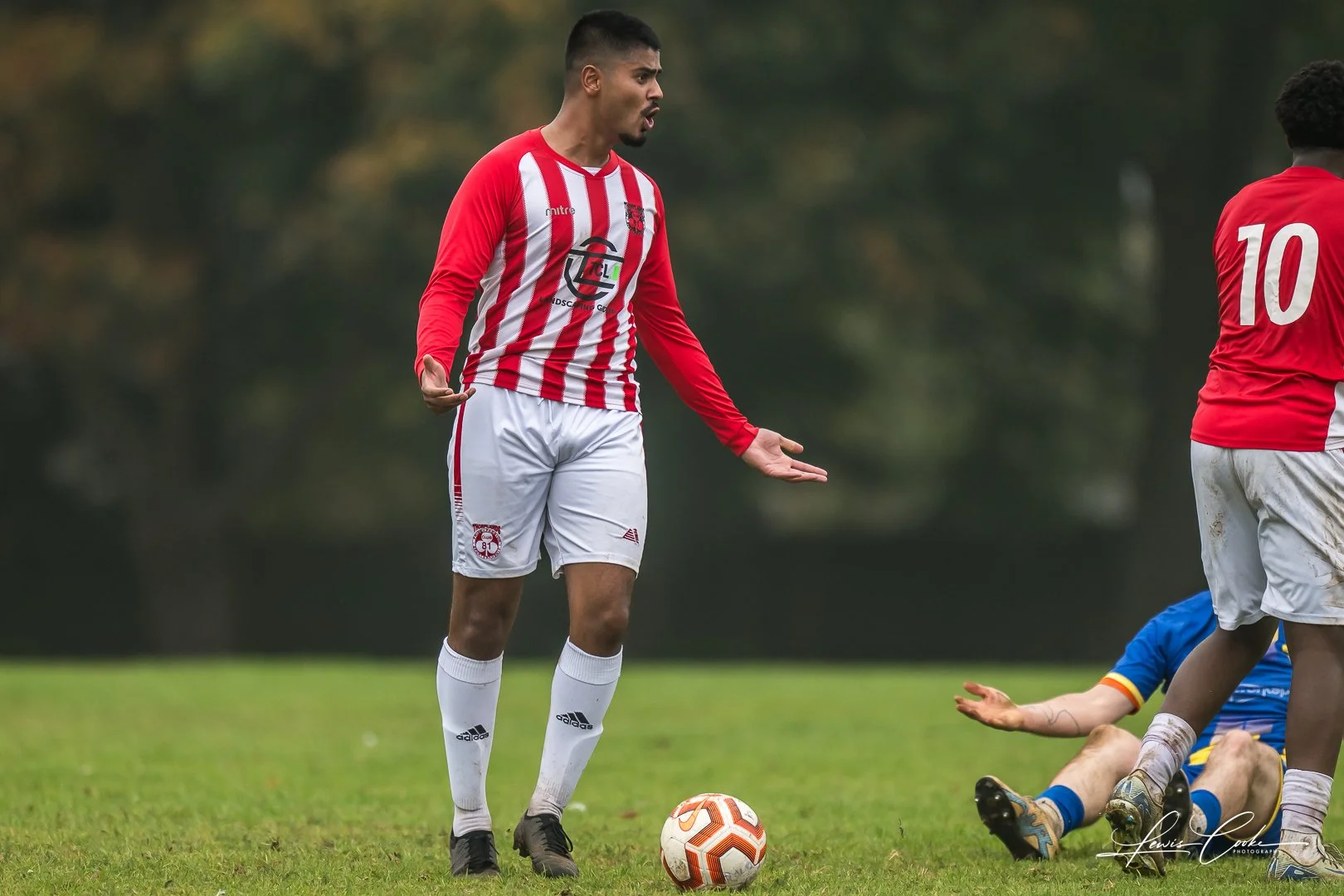  096 DSC_4645 251012.jpg