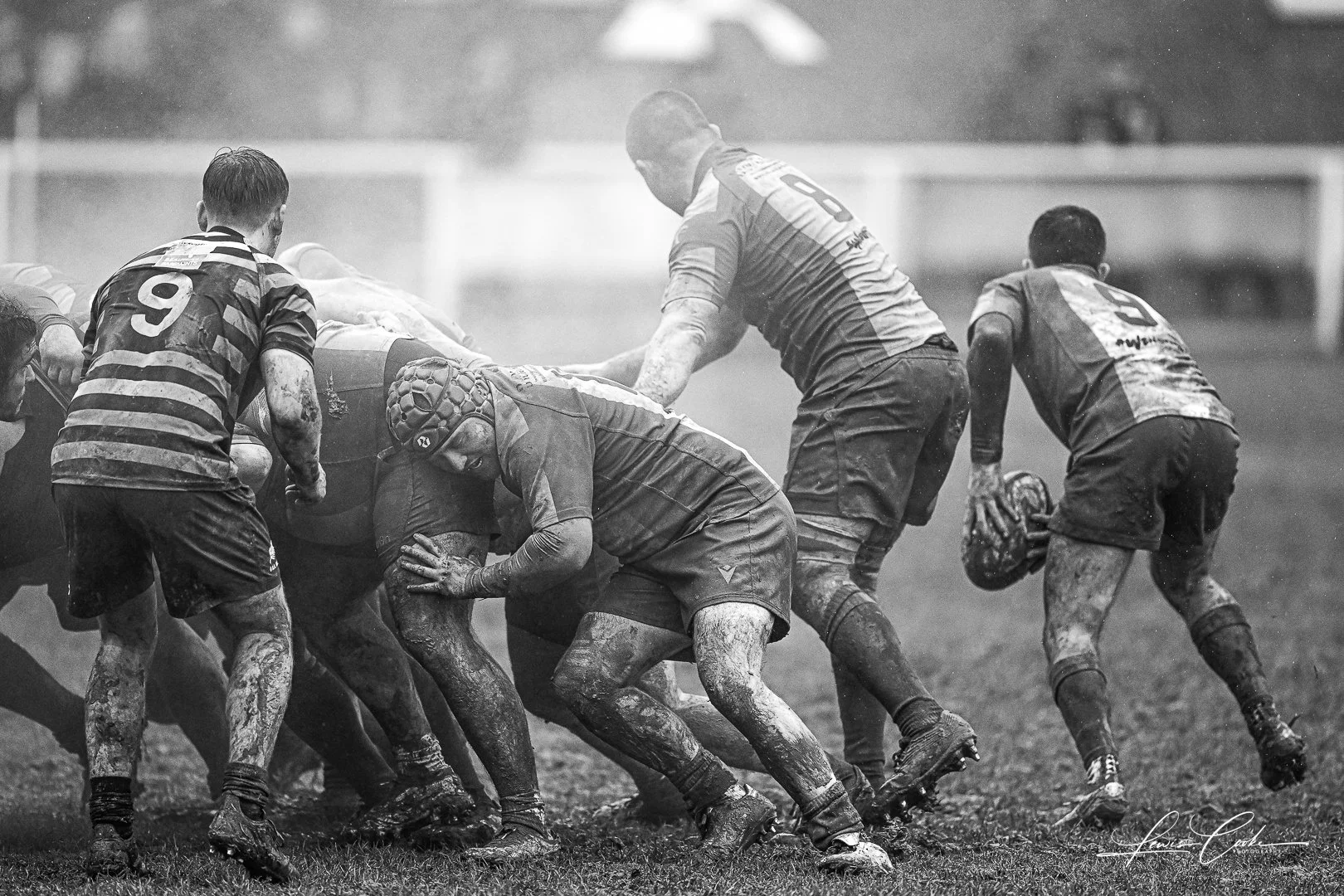 001 DSC_1927 230101.jpg