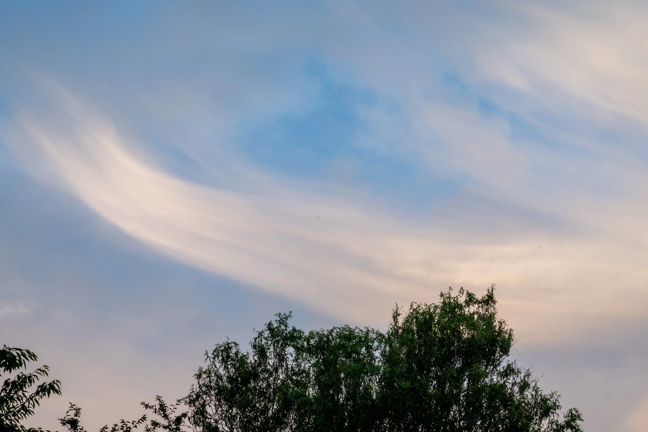 DSC_2652.jpg