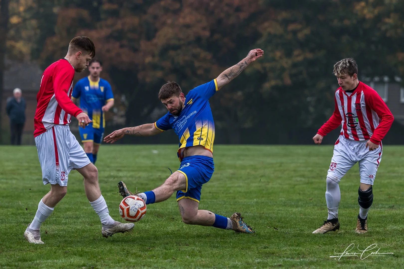  003 DSC_6521 251012.jpg