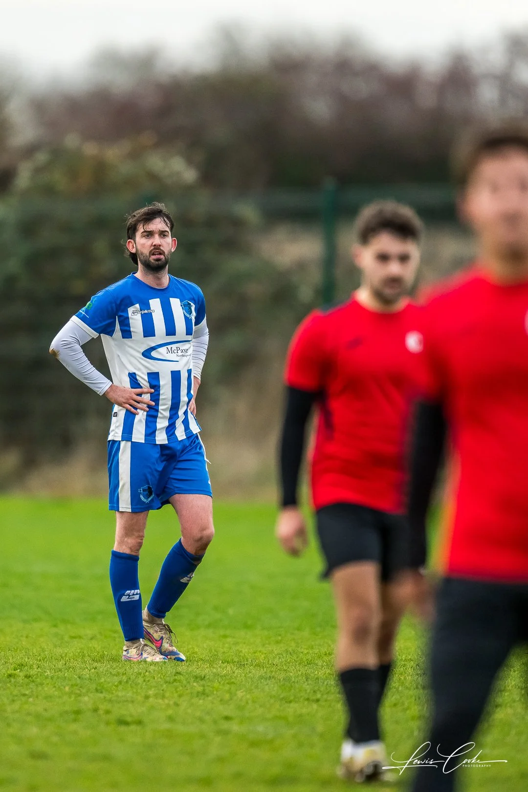  053 DSC_7117 251116.jpg