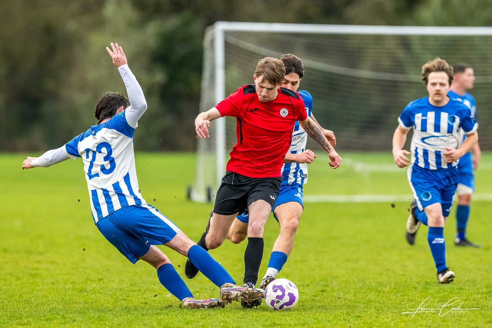  027 DSC_6767 251116.jpg