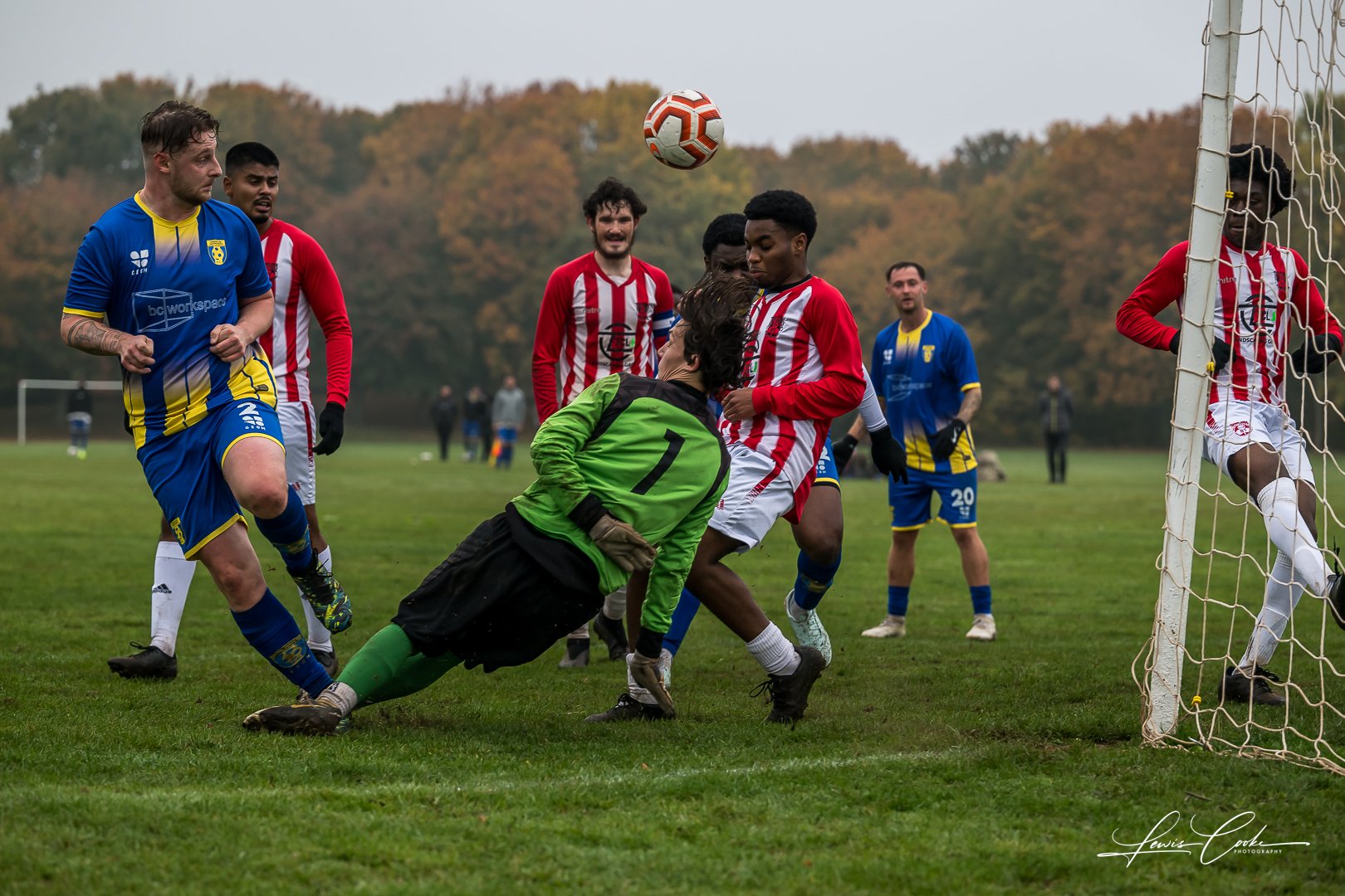  021 DSC_6699 251012.jpg