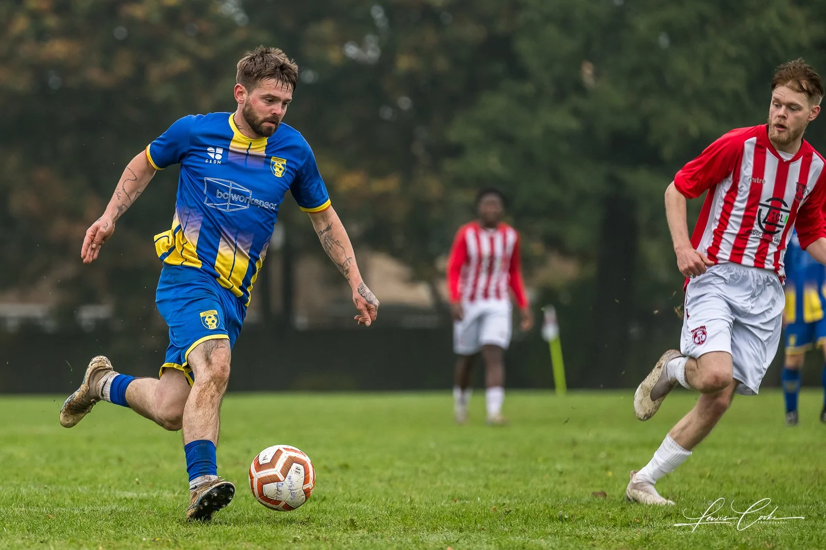  024 DSC_6717 251012.jpg