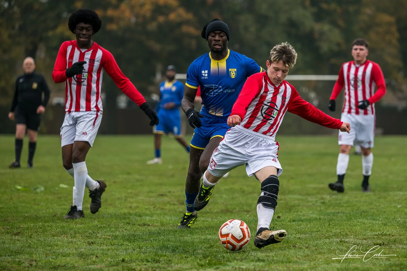  009 DSC_6558 251012.jpg