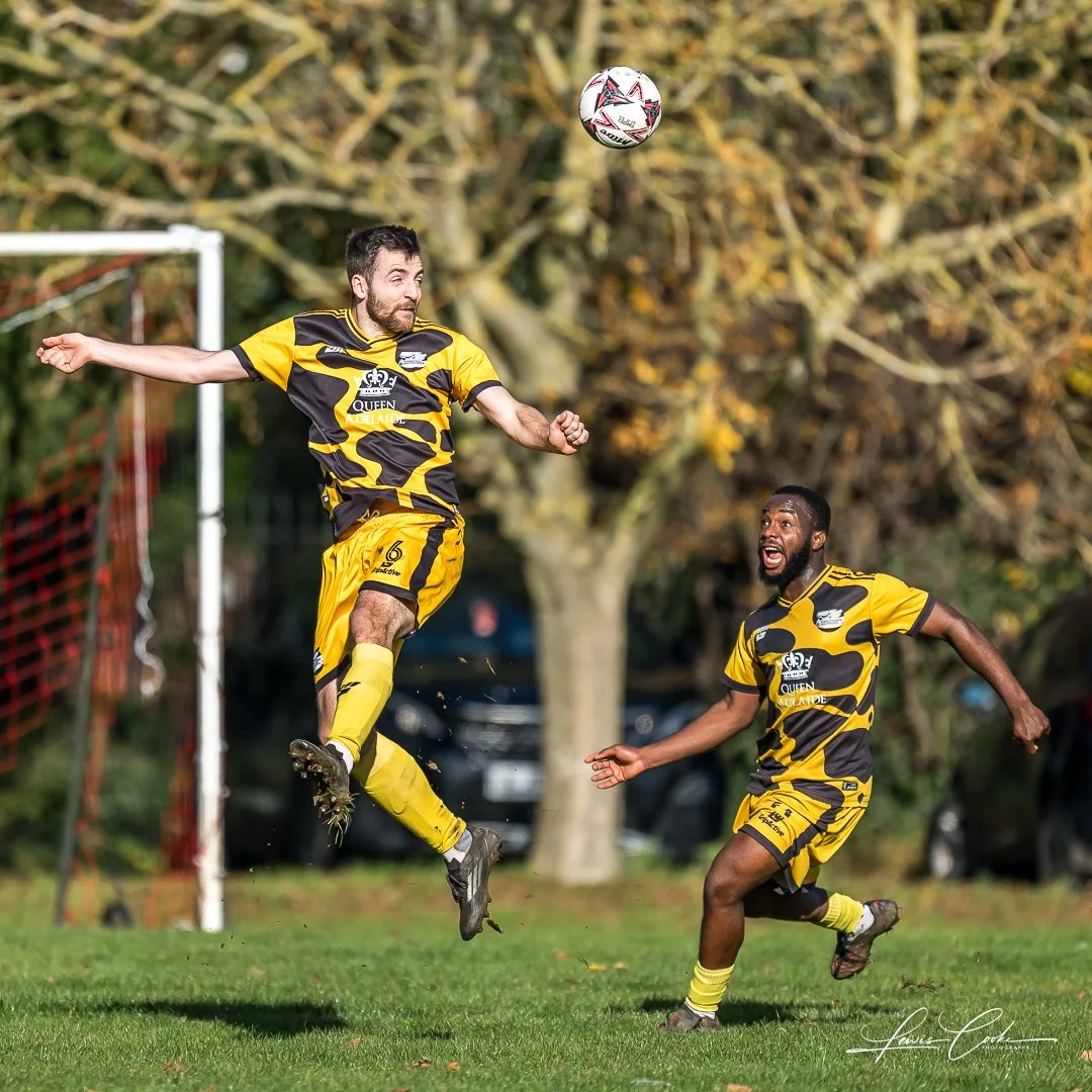  010 DSC_8084 251102.jpg