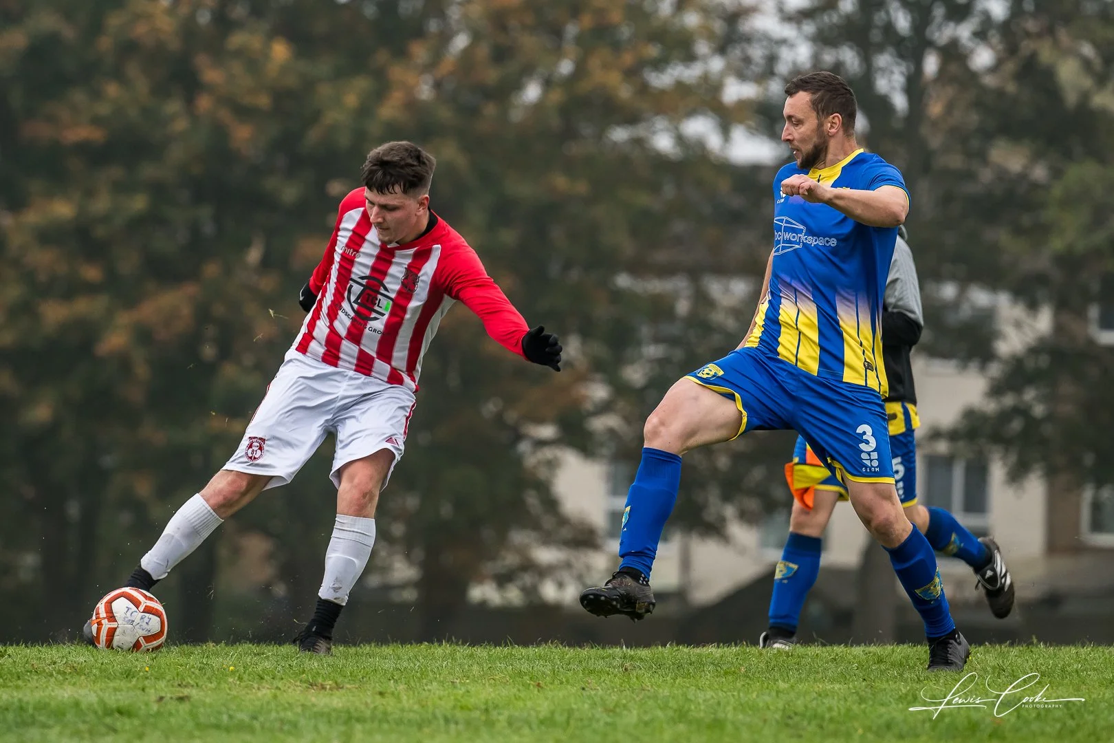  031 DSC_6794 251012.jpg