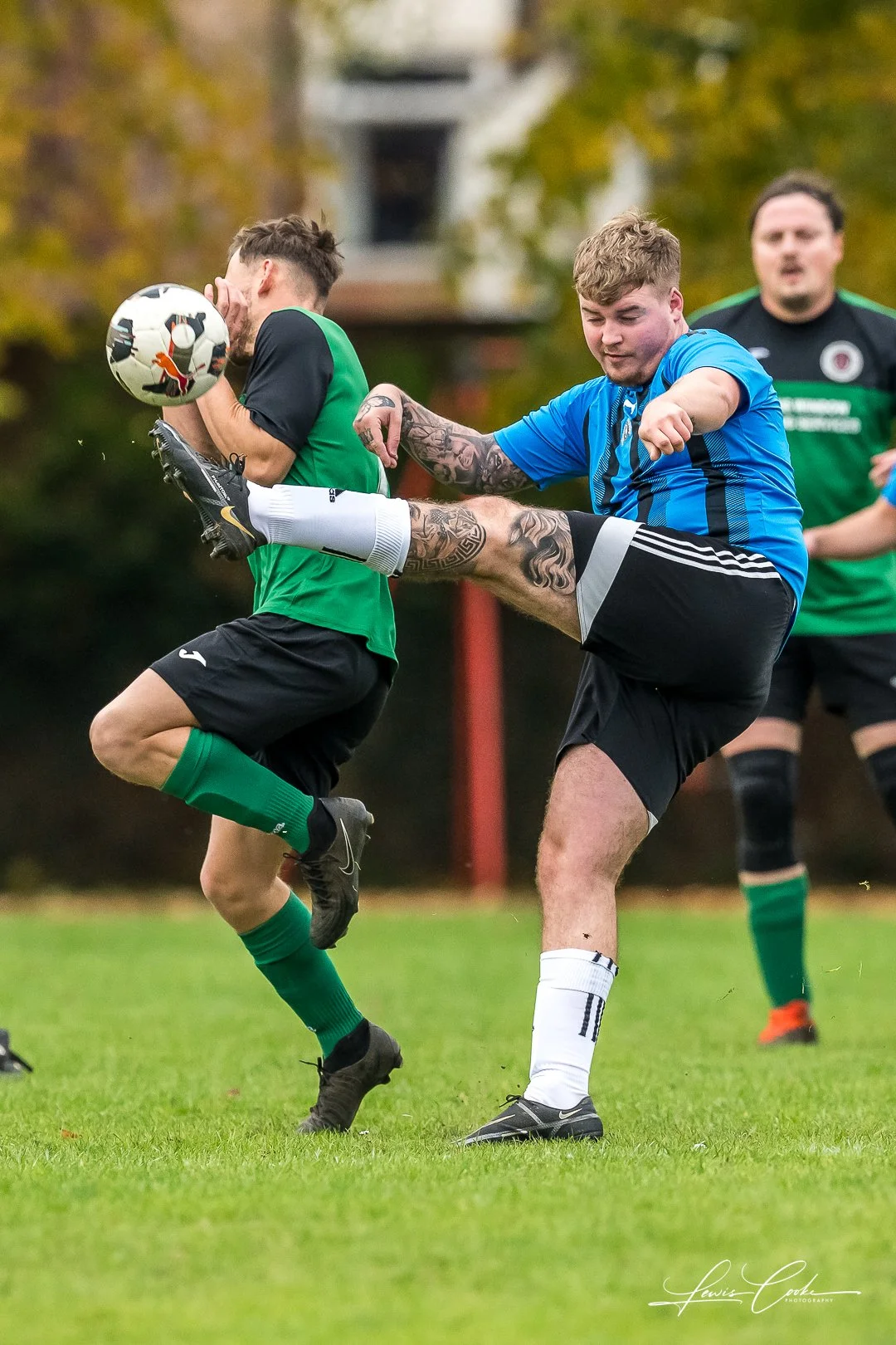  004 DSC_6903 251019.jpg