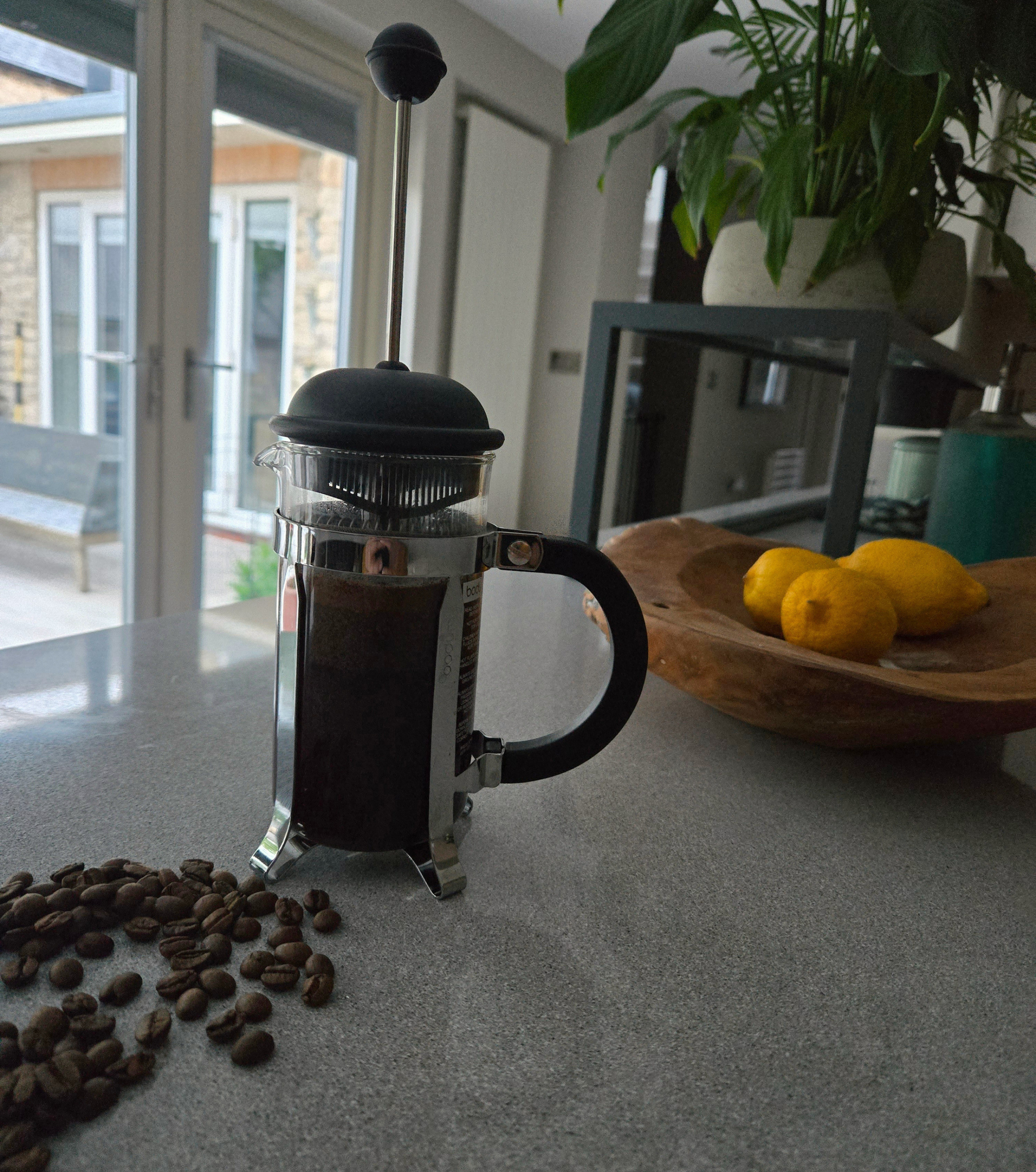 First Light Brew 1.png