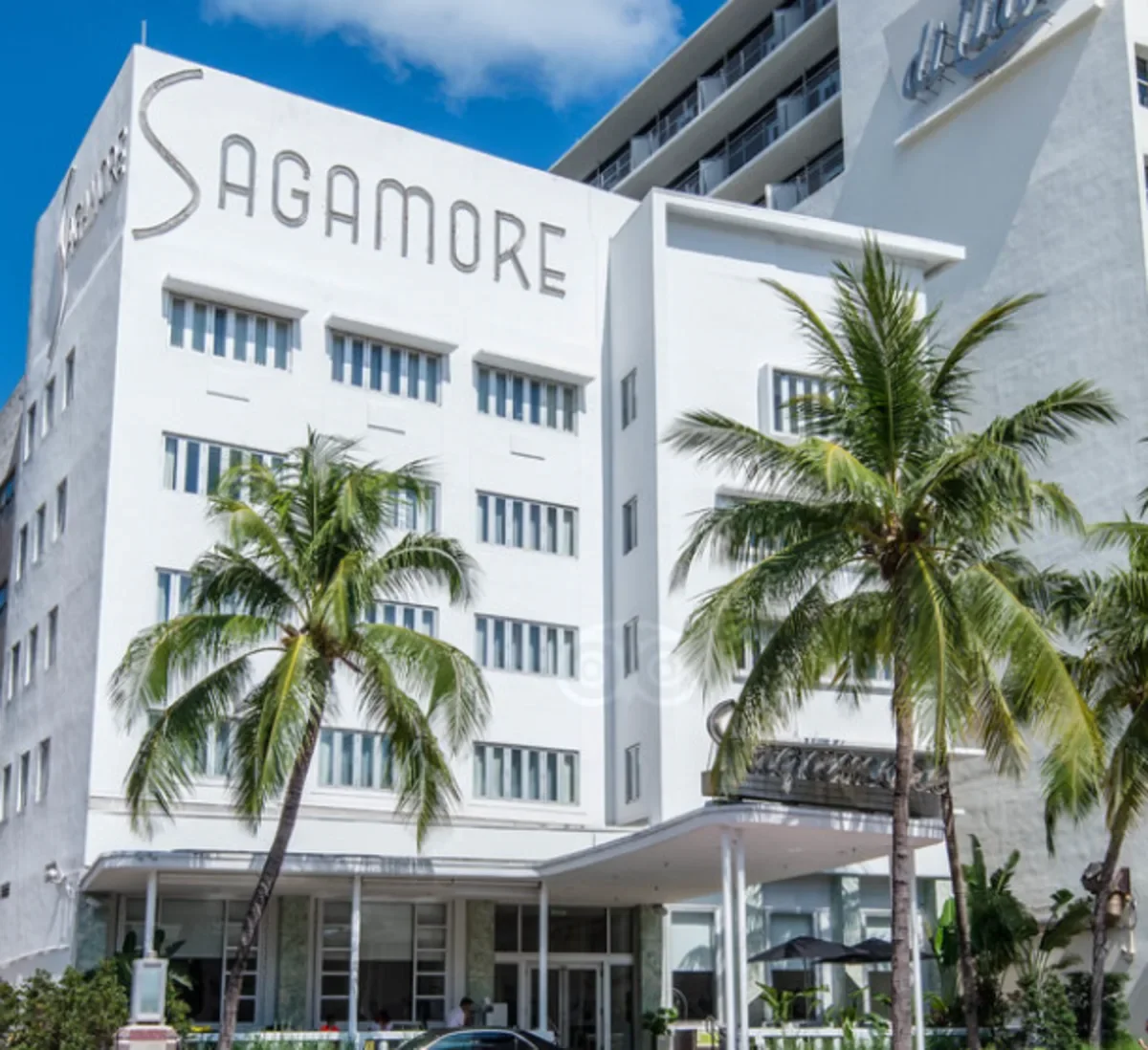 Sagamore0.webp
