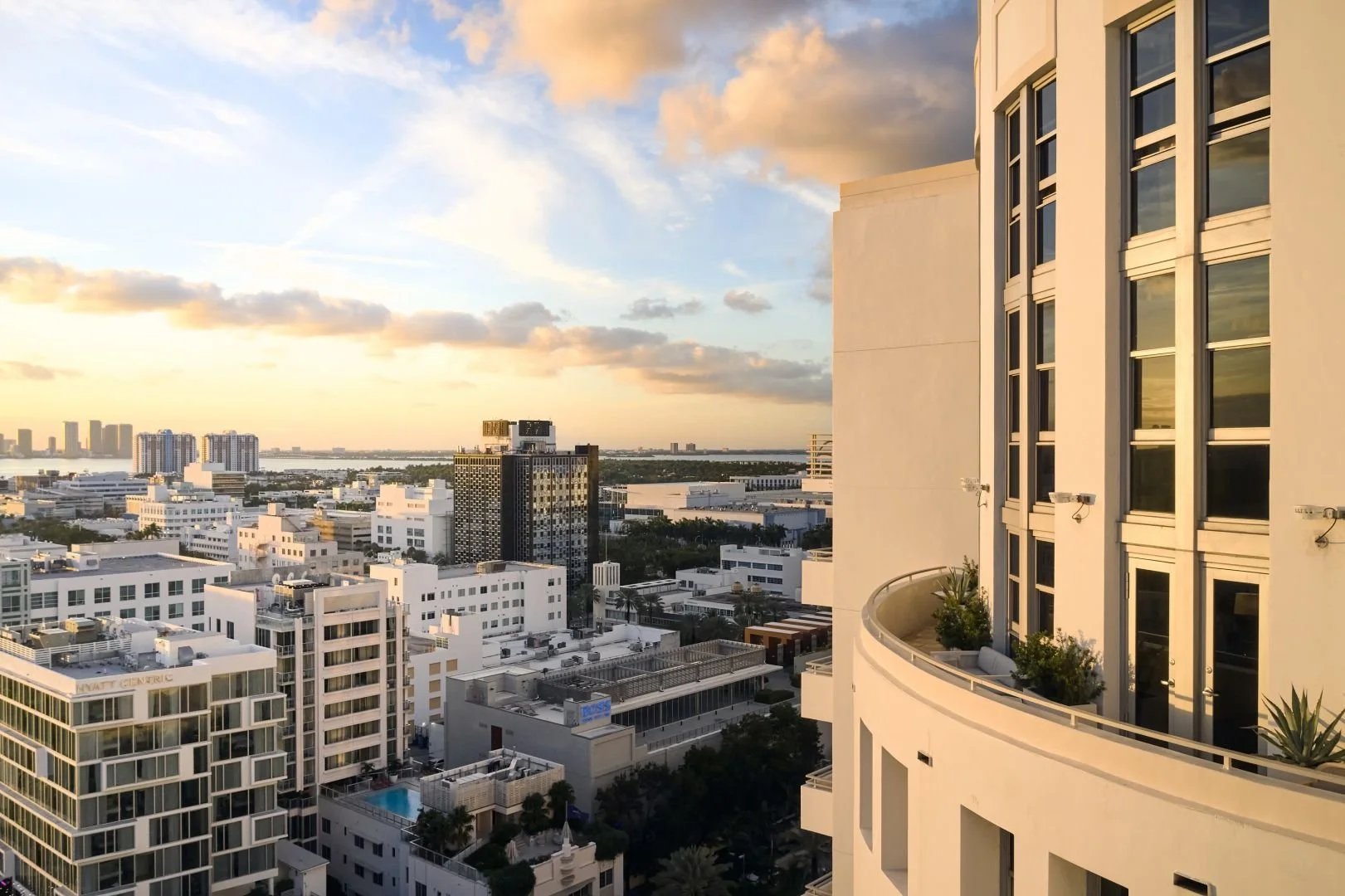 loews21.jpg