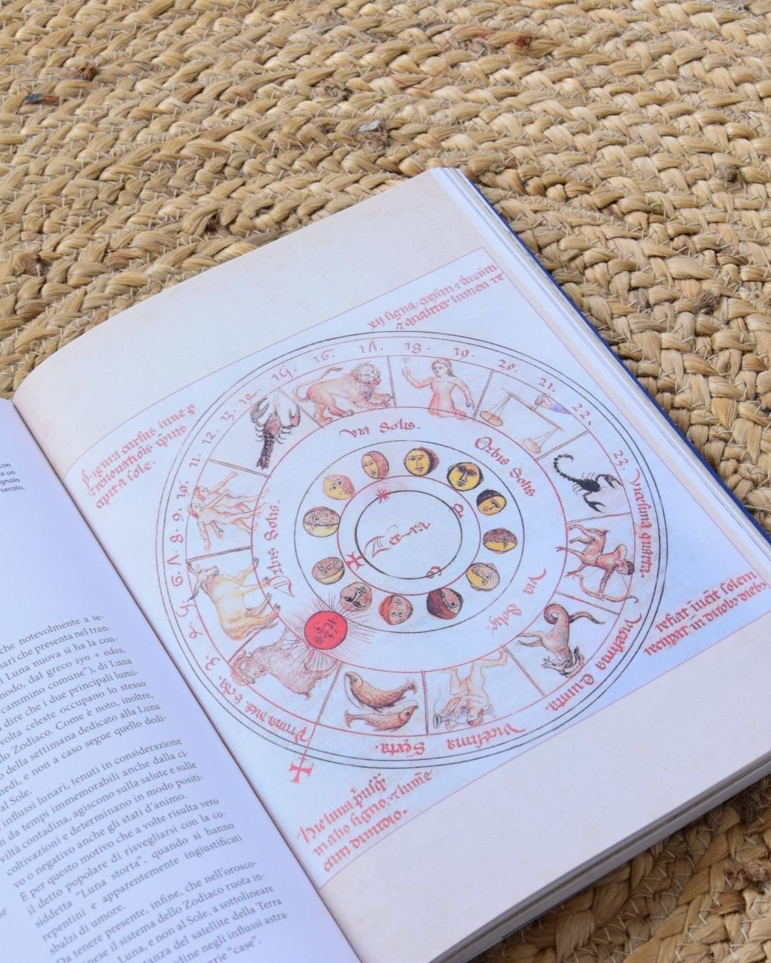 True Sky Astrology Reading - Live via Zoom 1.5 hours