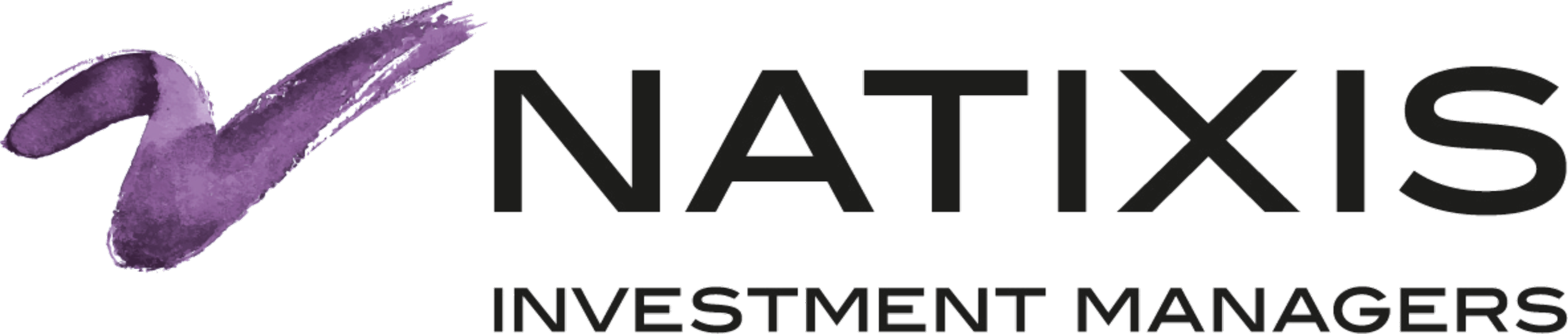 logo_Natixis Investment Managers.png