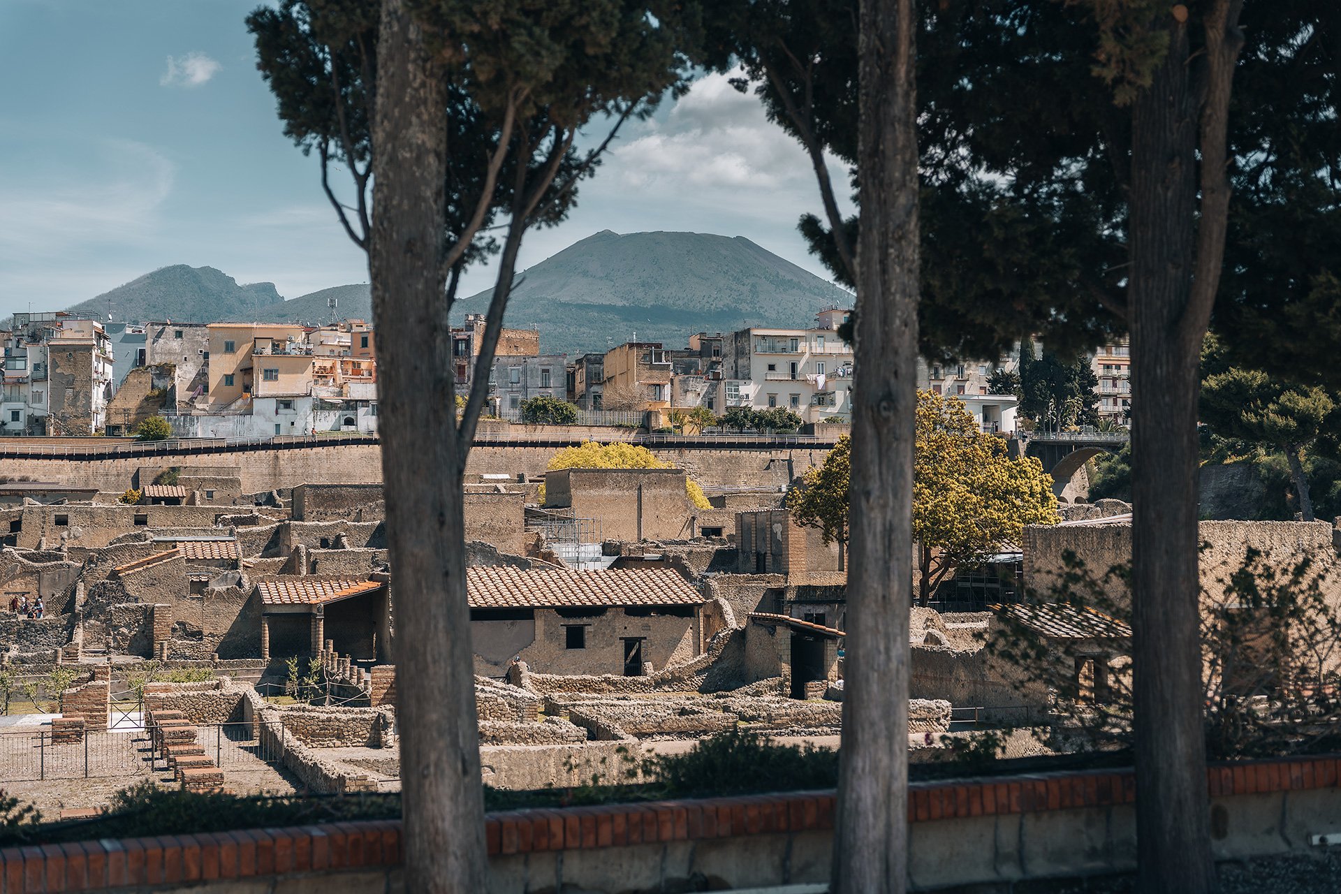 Veduta di una città con edifici antichi e una montagna sullo sfondo, inquadrata tra alcuni alberi.