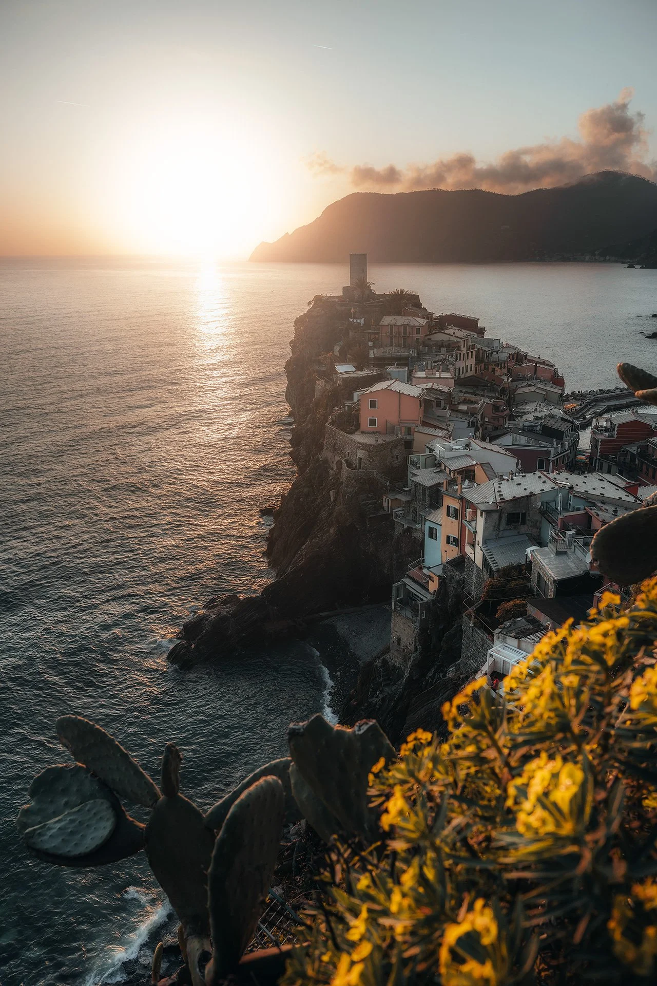 Paesaggio al tramonto con il mare, scogliera e case colorate su una ripida scogliera, con un'illuminazione calda e alcune piante in primo piano.