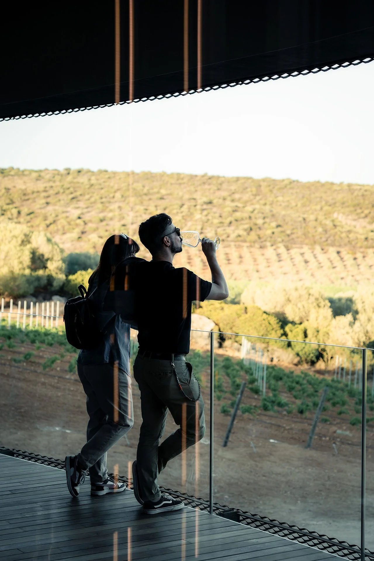 Due persone stanno bevendo vino su un terrazzo con vista su una campagna collinare. La scena è all'aperto, con una ringhiera di vetro.