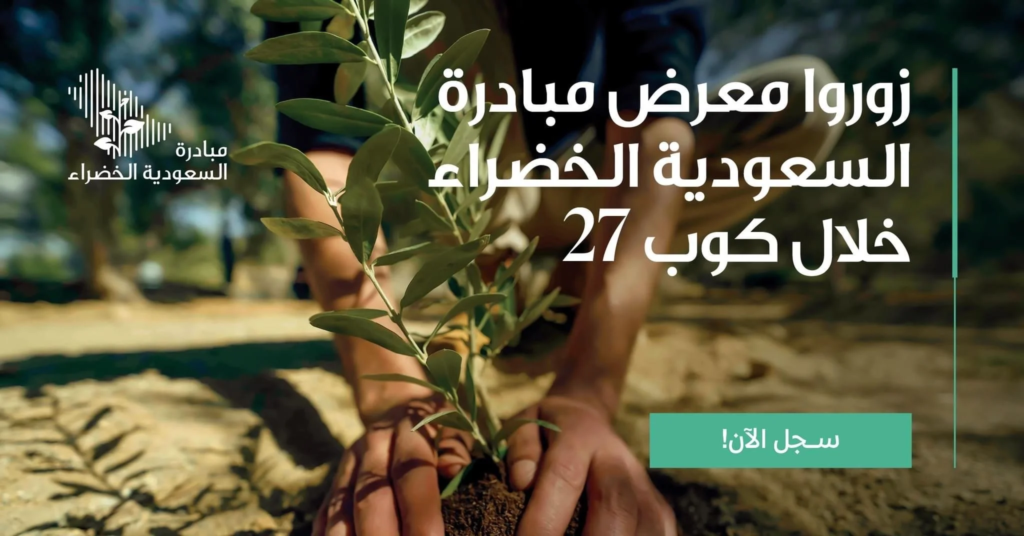 Mano pianta un albero in un campo soleggiato, con testo in arabo e col logo di iniziativa saudita dei verdi.