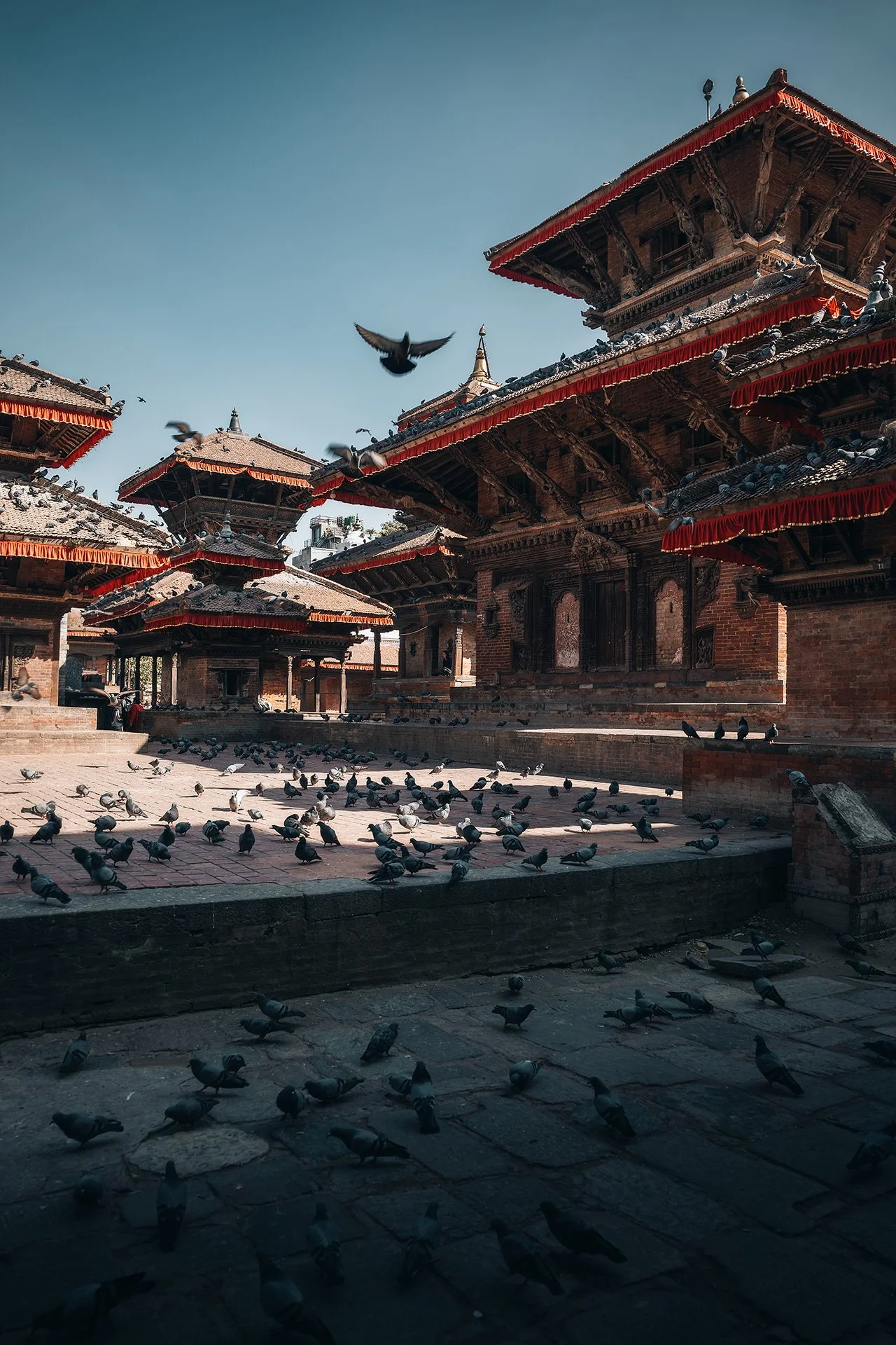 Tempio tradizionale in Nepal con tetti di legno e tegole, circondato da numerosi colombi che volano e si posano sui gradini e sul pavimento.