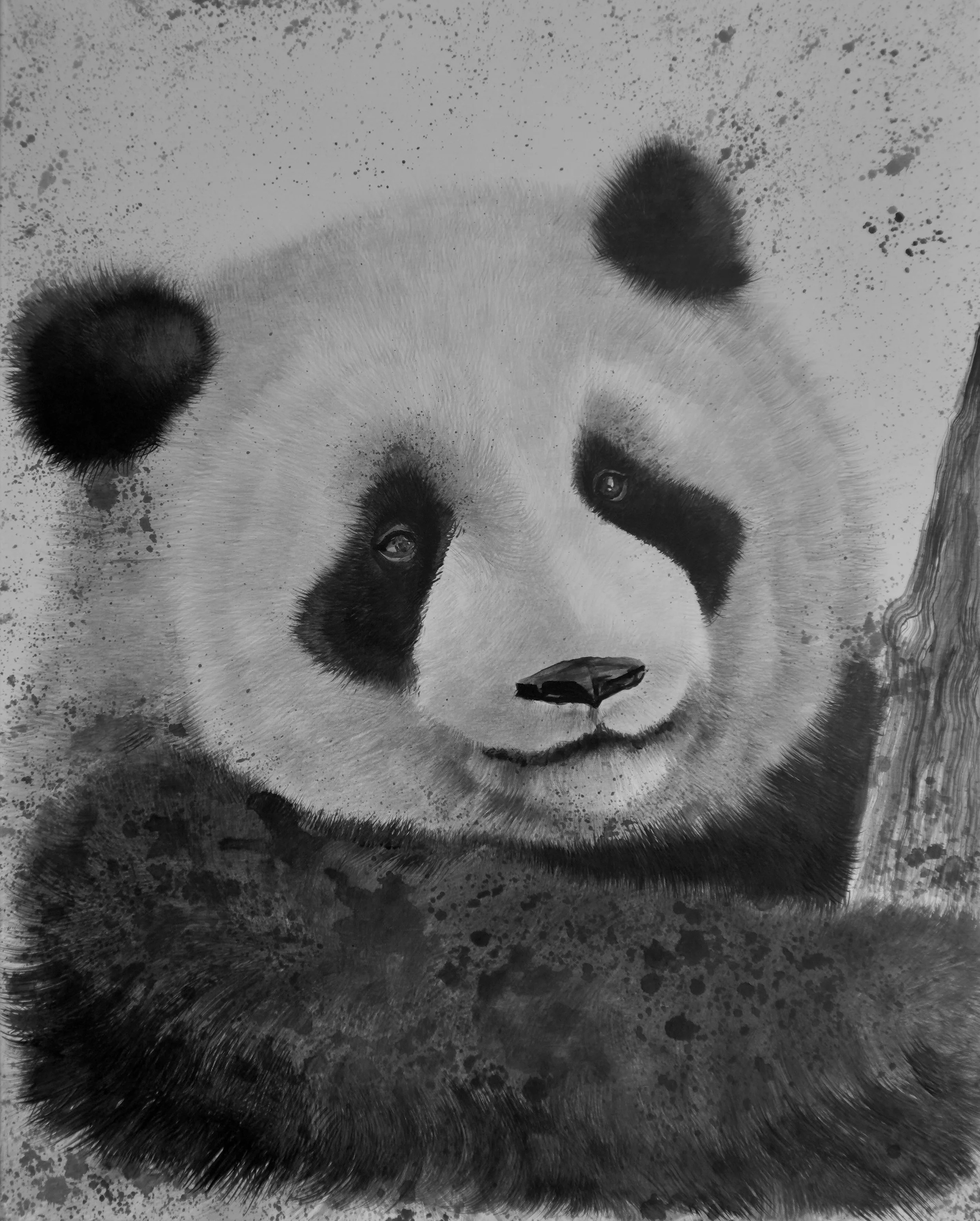 DSC07441.jpeg