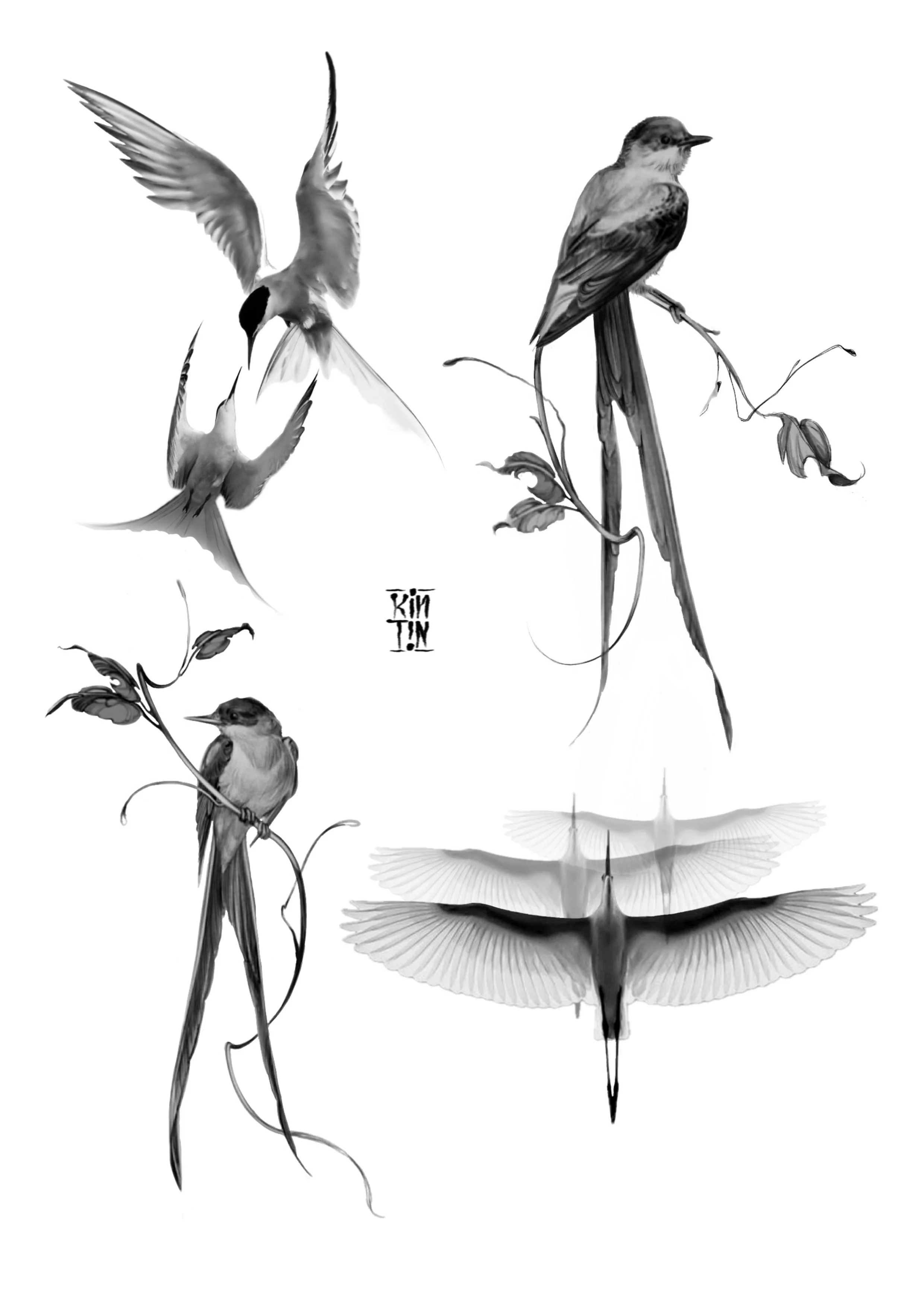 Ilustración_sin_título 1.JPG