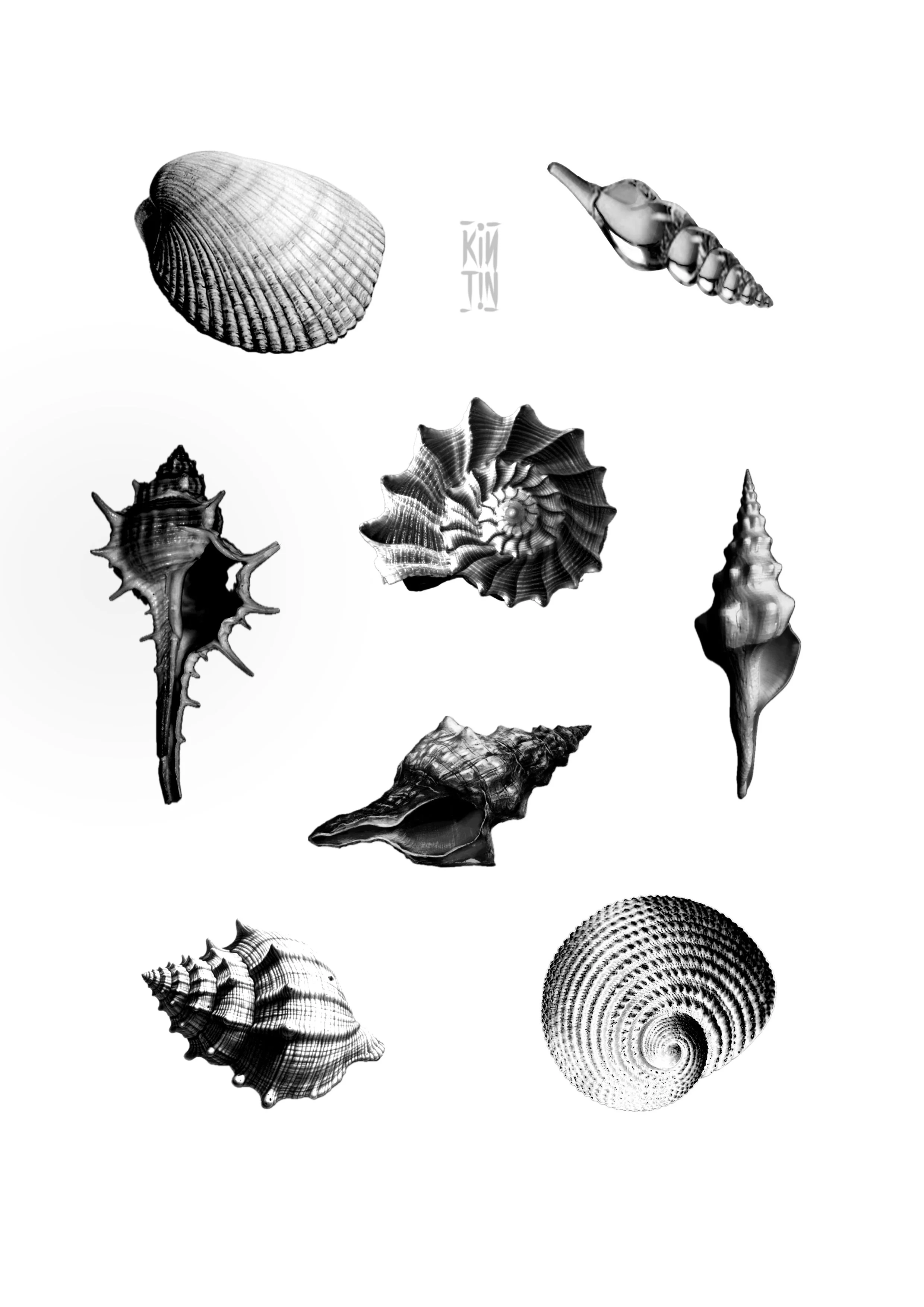 Ilustración_sin_título 31.JPG