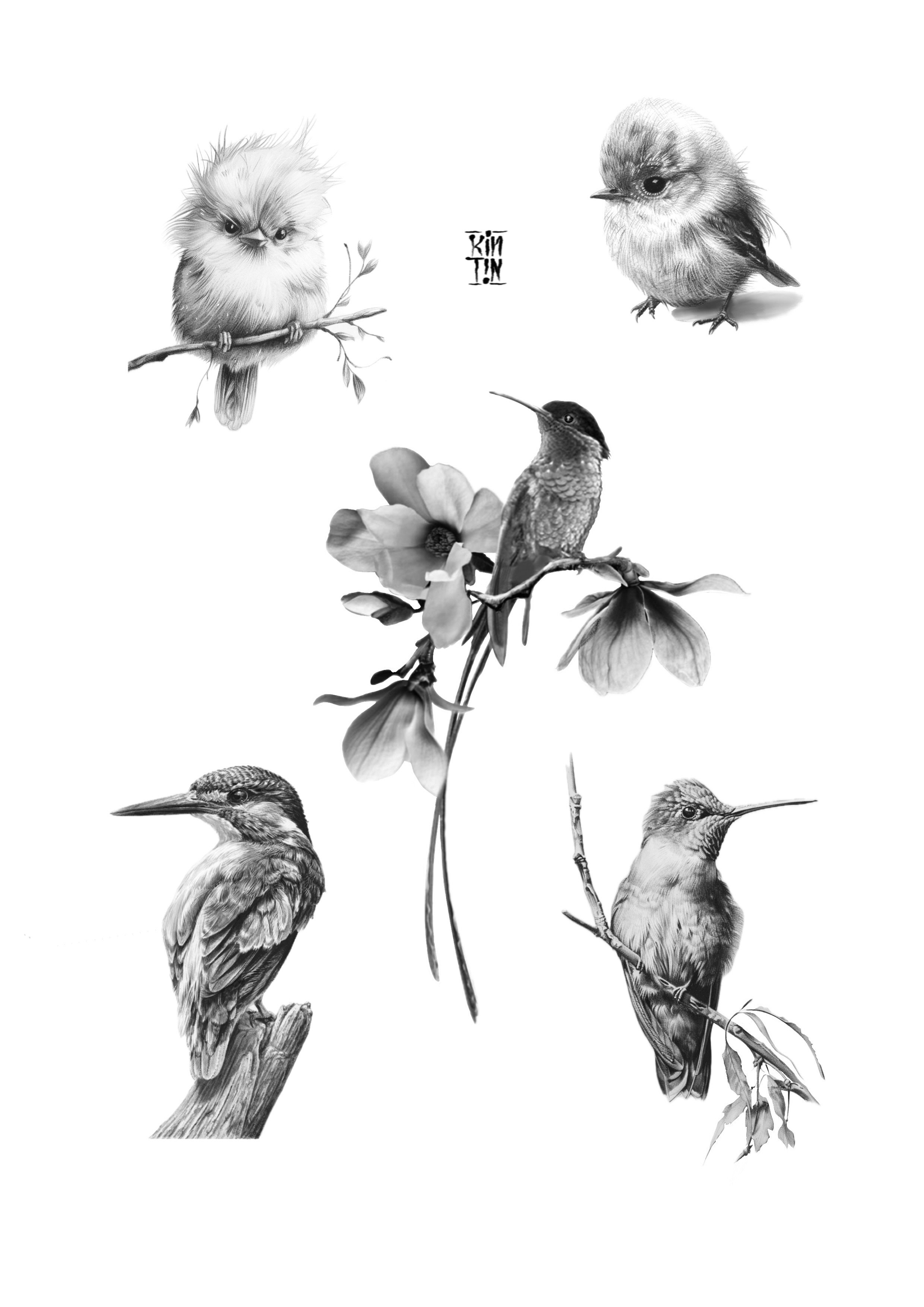 Ilustración_sin_título (3).jpeg