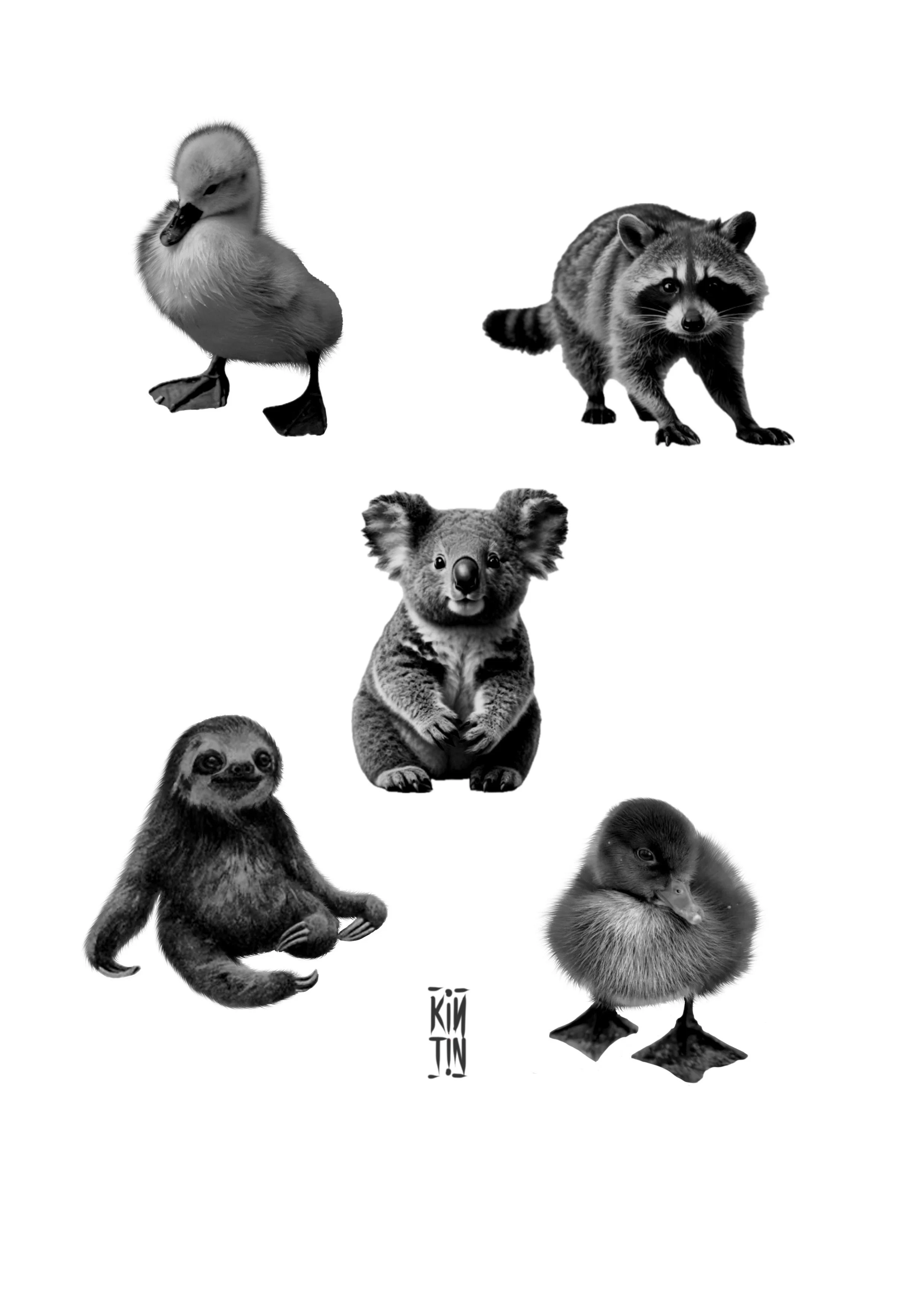 Ilustración_sin_título 19.jpeg