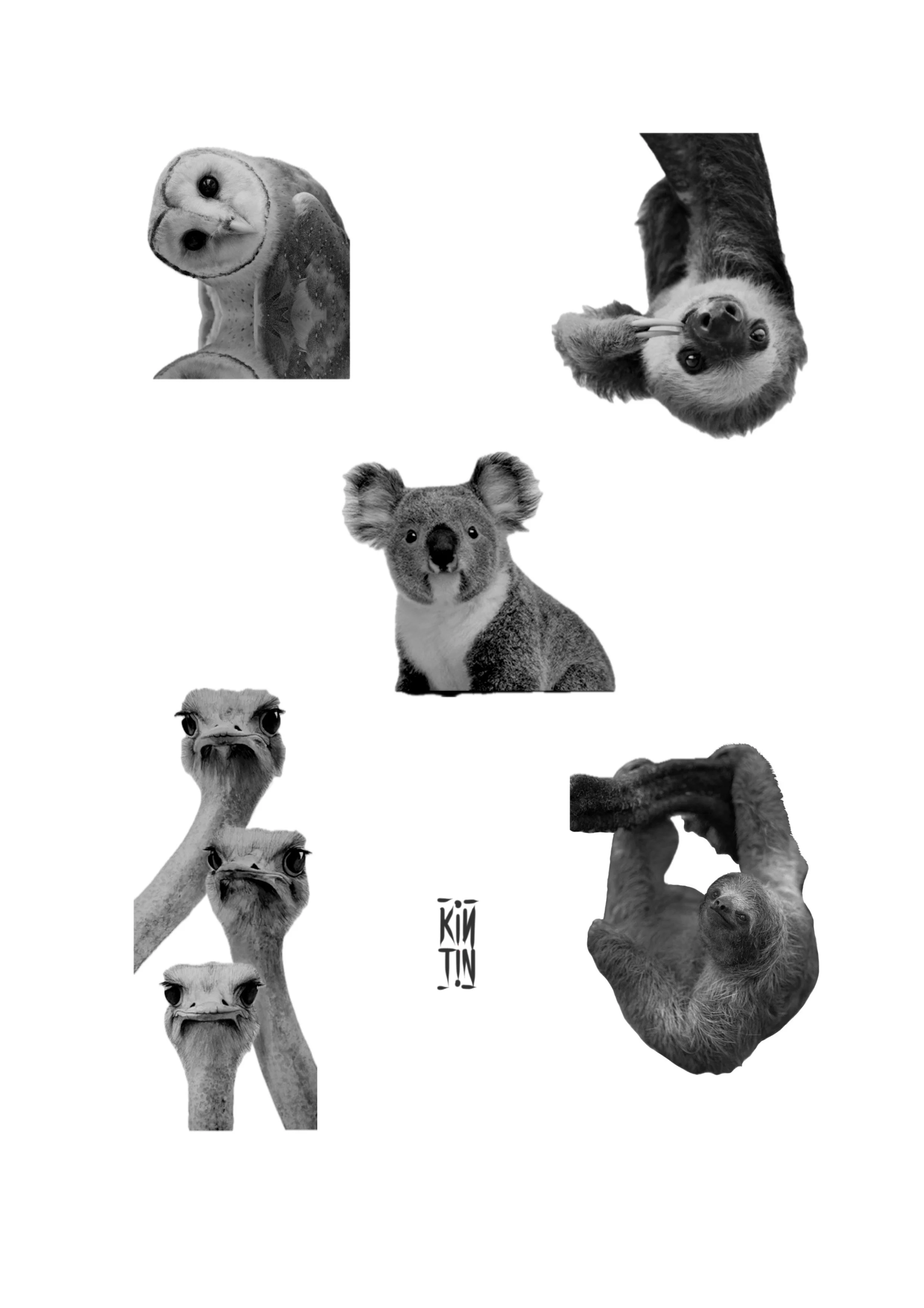 Ilustración_sin_título 27.jpeg